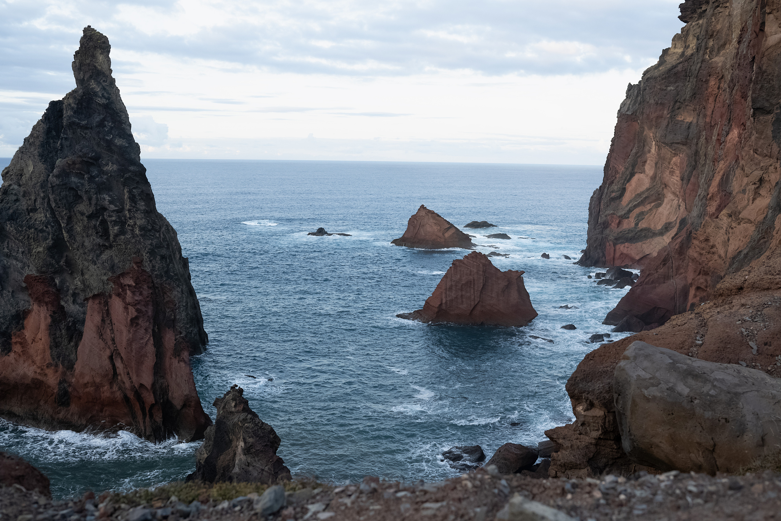 Мадейра. Дитячий та сімейний фотограф м.Бровари