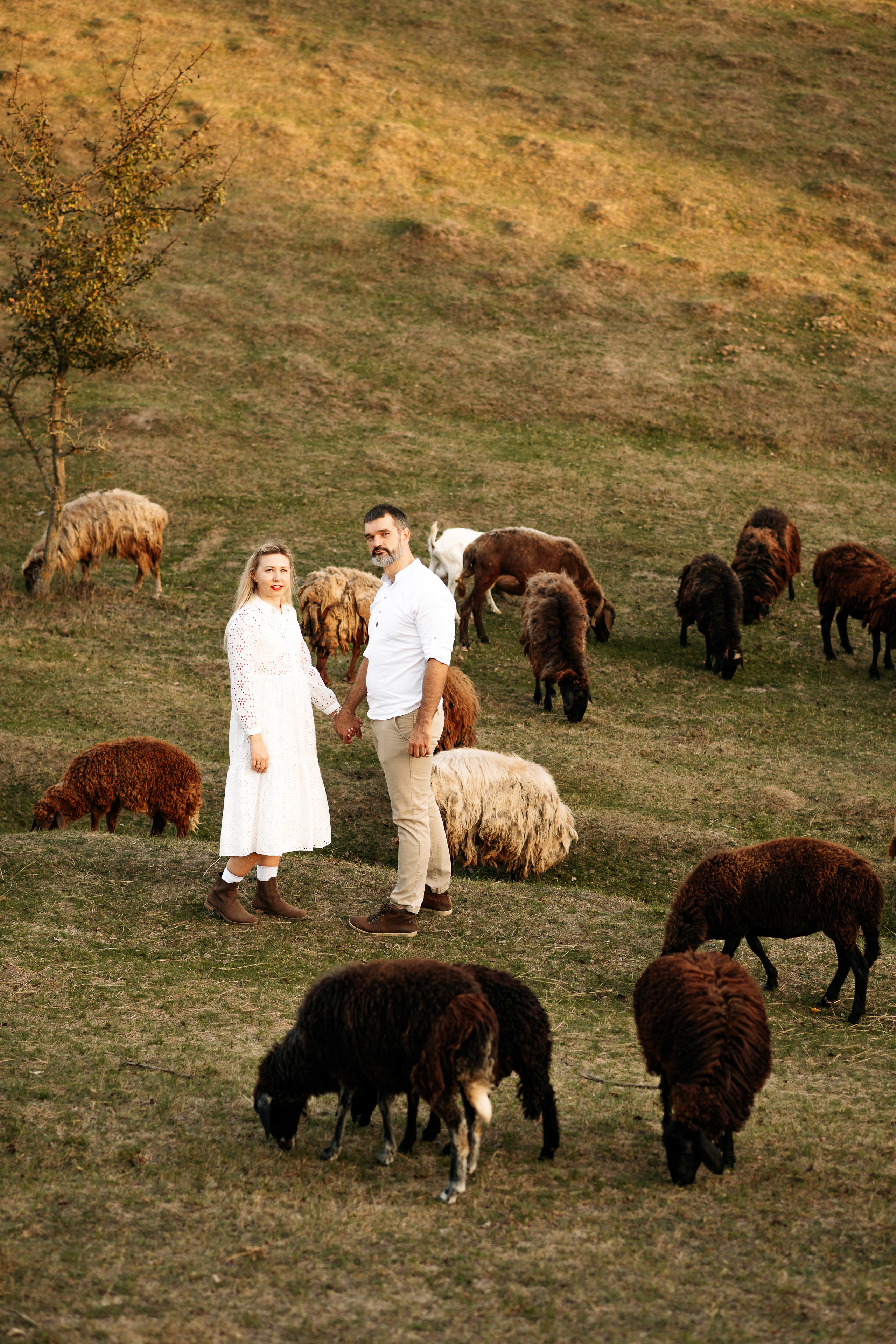 Sheepland. Дитячий та сімейний фотограф м.Бровари