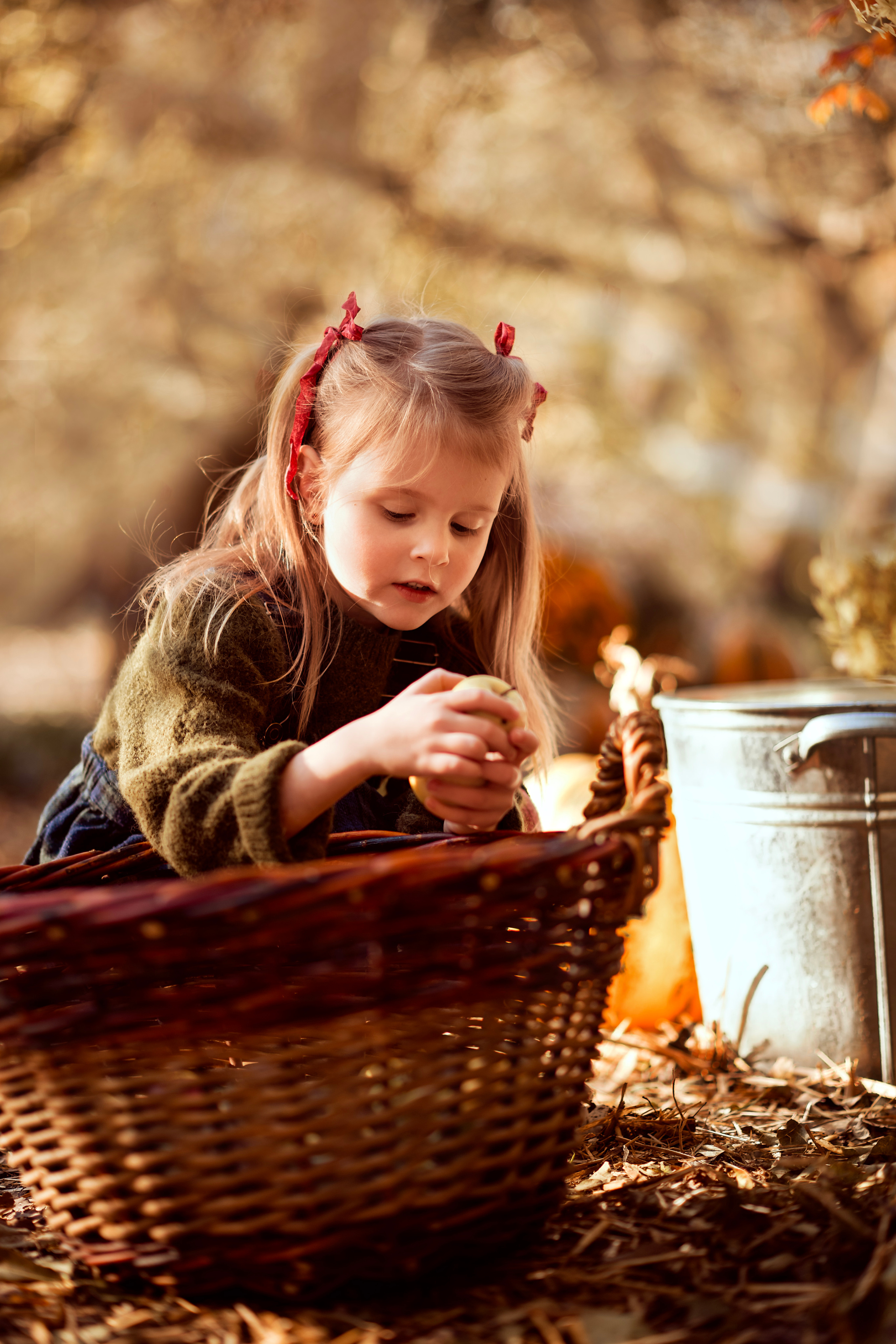 Осінні замальовки. Дитячий та сімейний фотограф м.Бровари