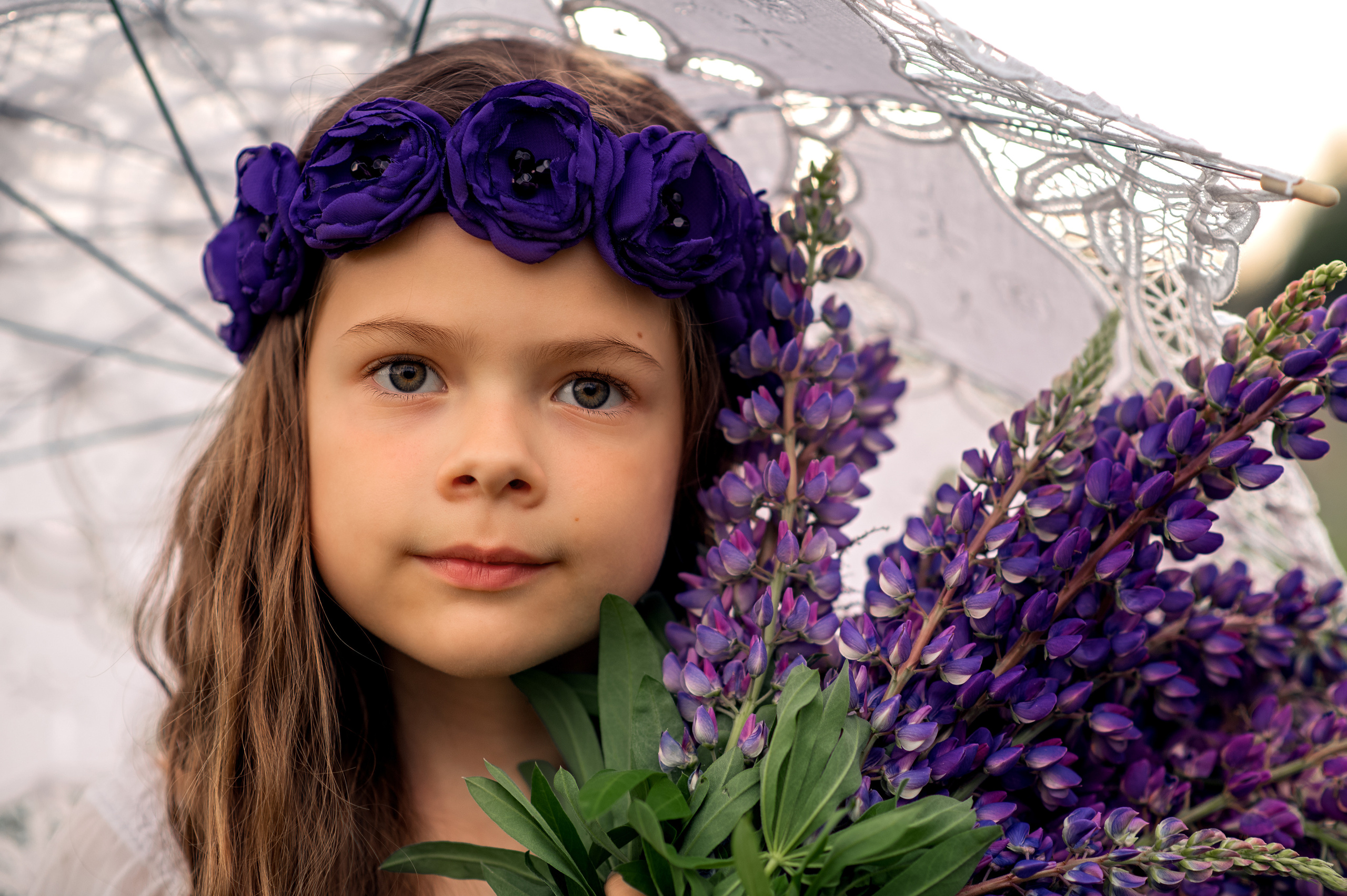 Люпини. Дитячий та сімейний фотограф м.Бровари