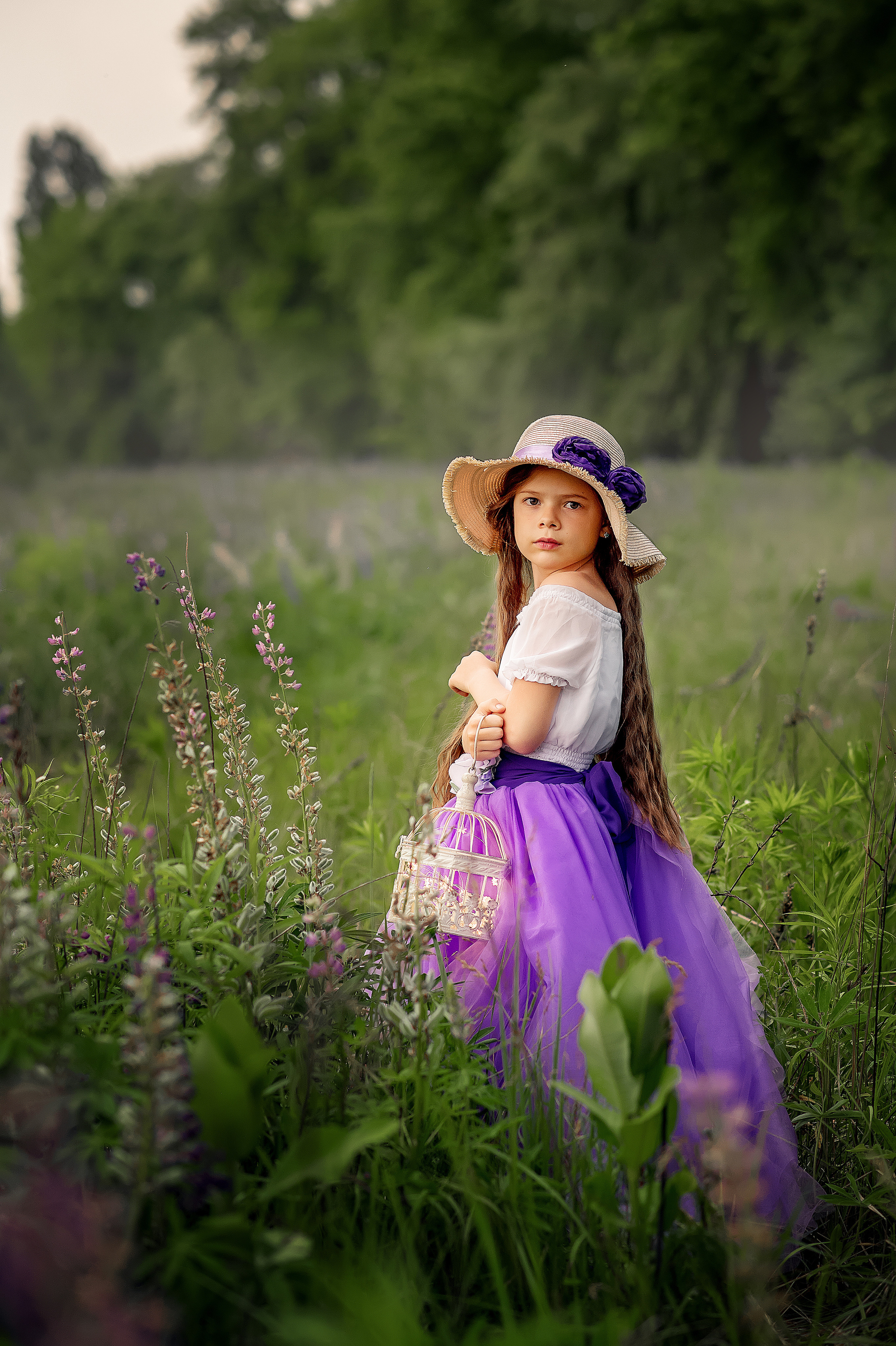 Люпини. Дитячий та сімейний фотограф м.Бровари