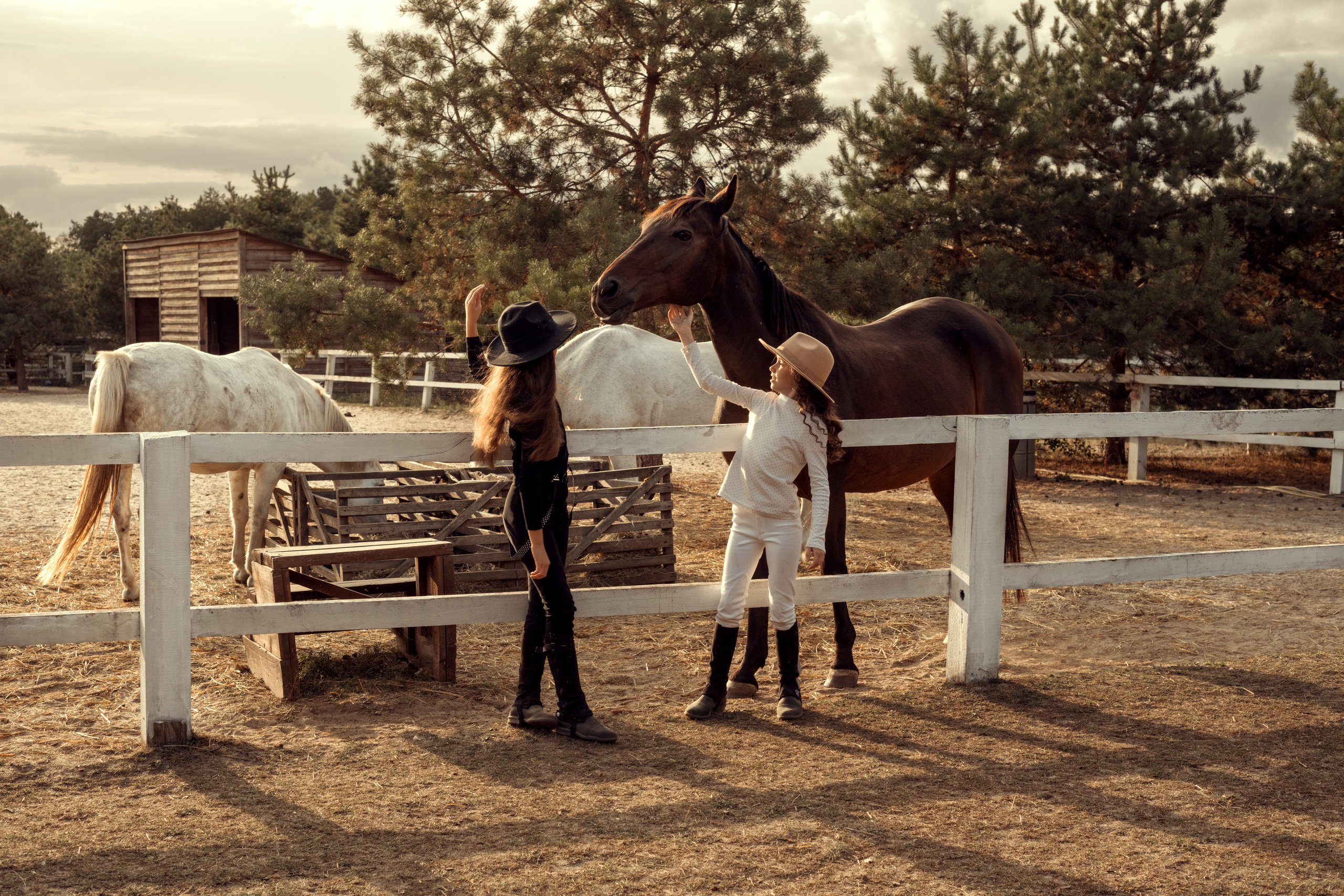 Ранчо Іго-Го. Дитячий та сімейний фотограф м.Бровари