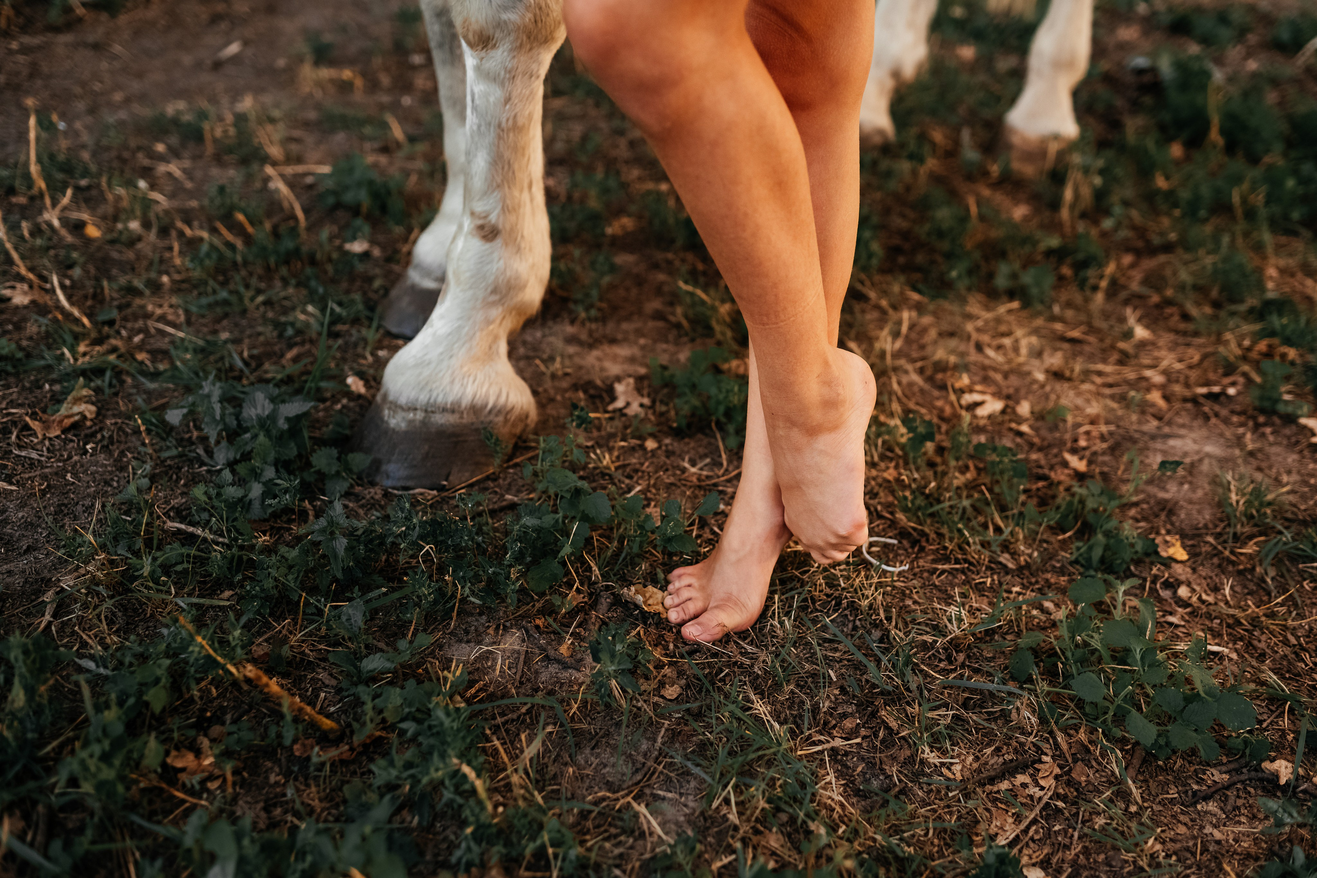 Гармонія з природою: зйомка на конюшні. Дитячий та сімейний фотограф м.Бровари