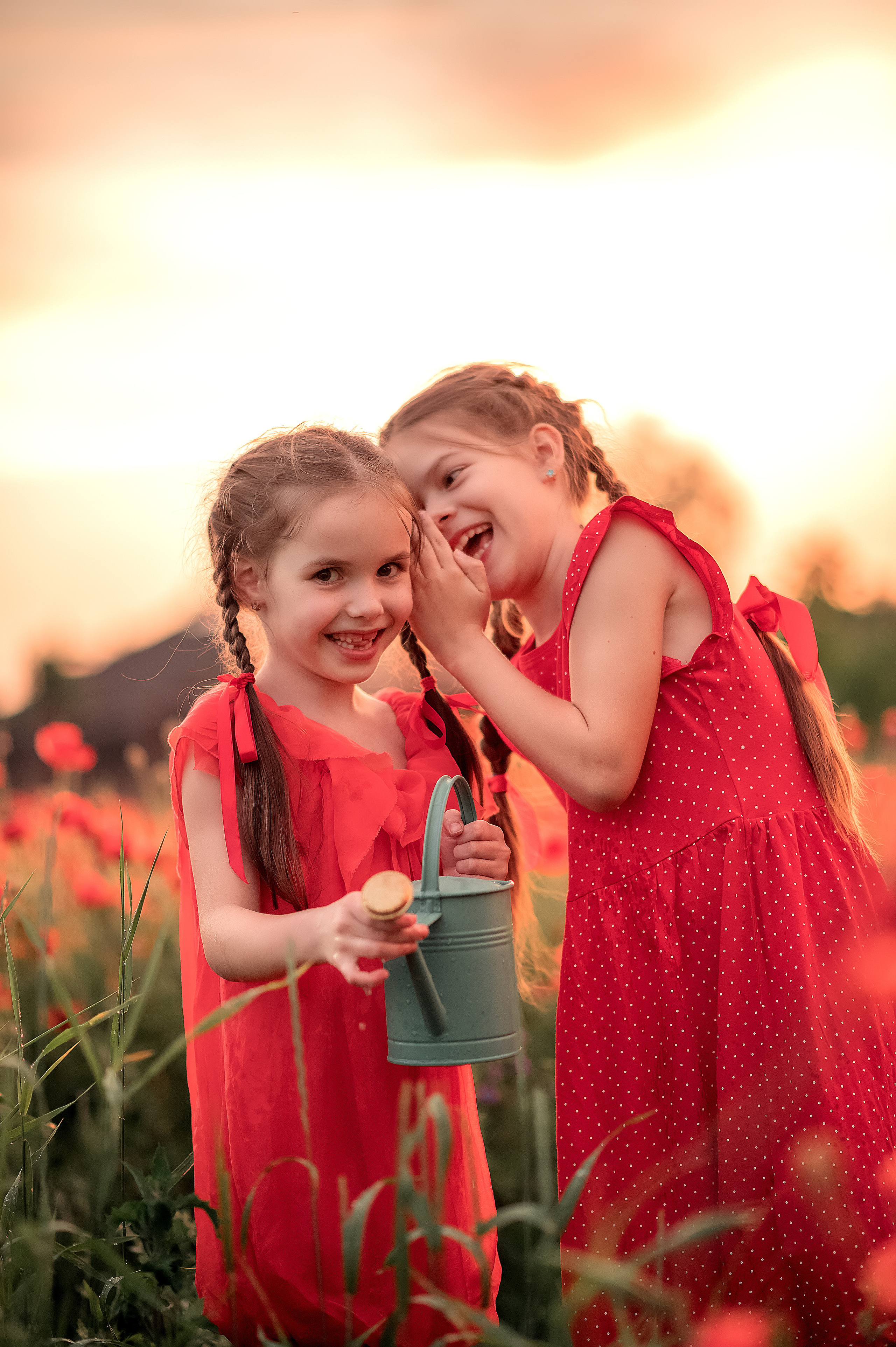 Маки. Дитячий та сімейний фотограф м.Бровари