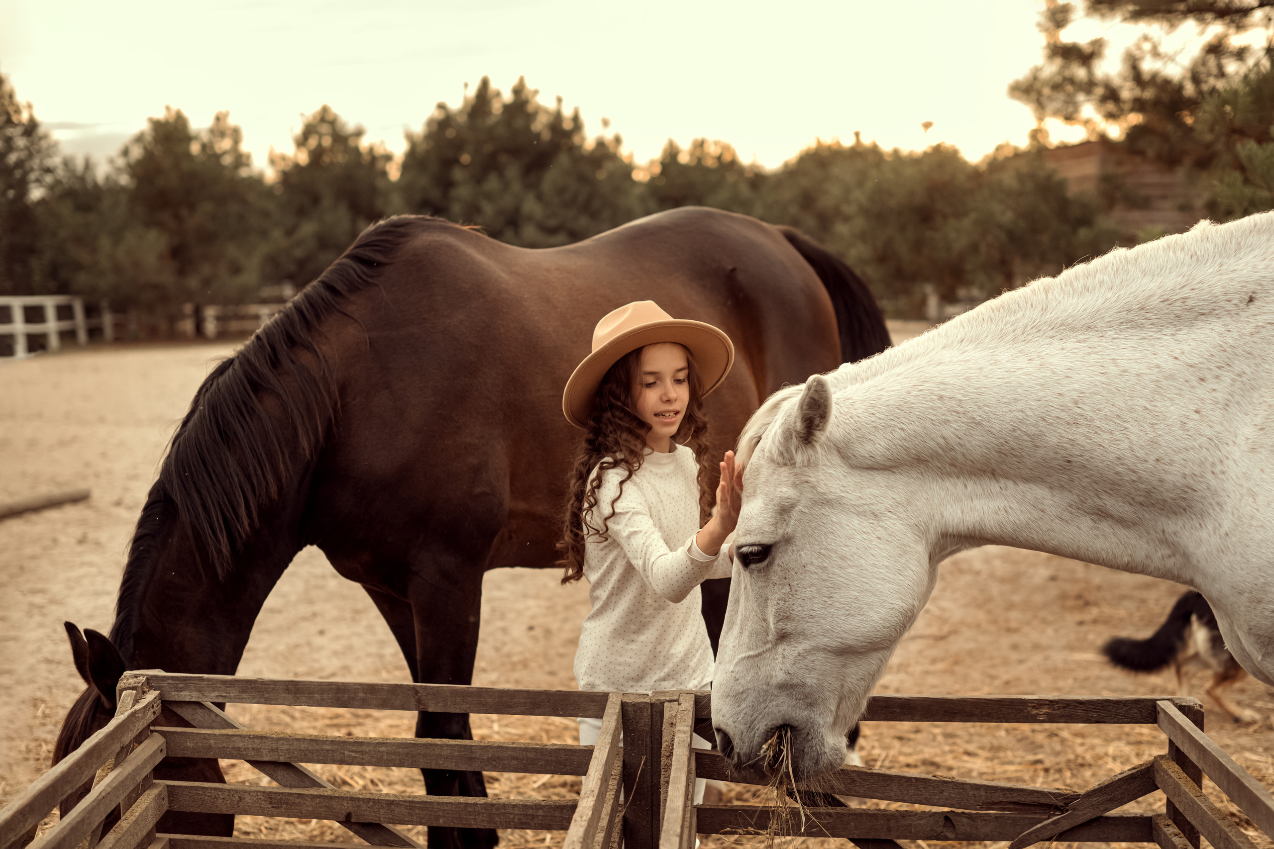 Ранчо Іго-Го. Дитячий та сімейний фотограф м.Бровари