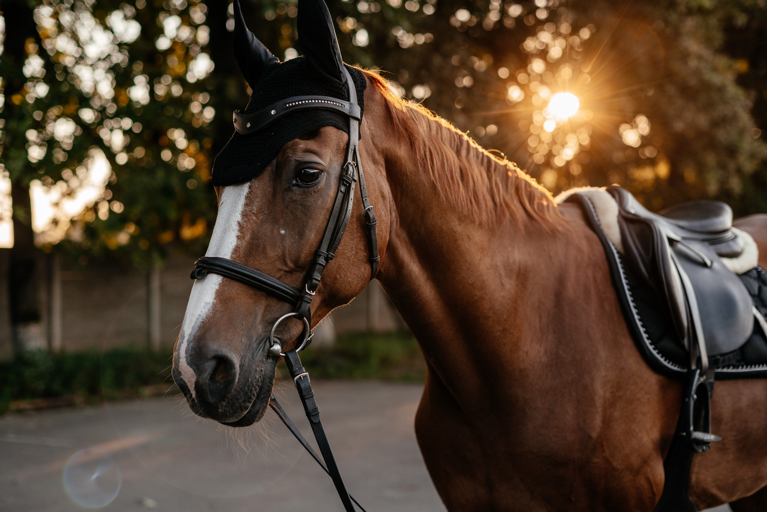 Маленька історія Еміліі. Дитячий та сімейний фотограф м.Бровари