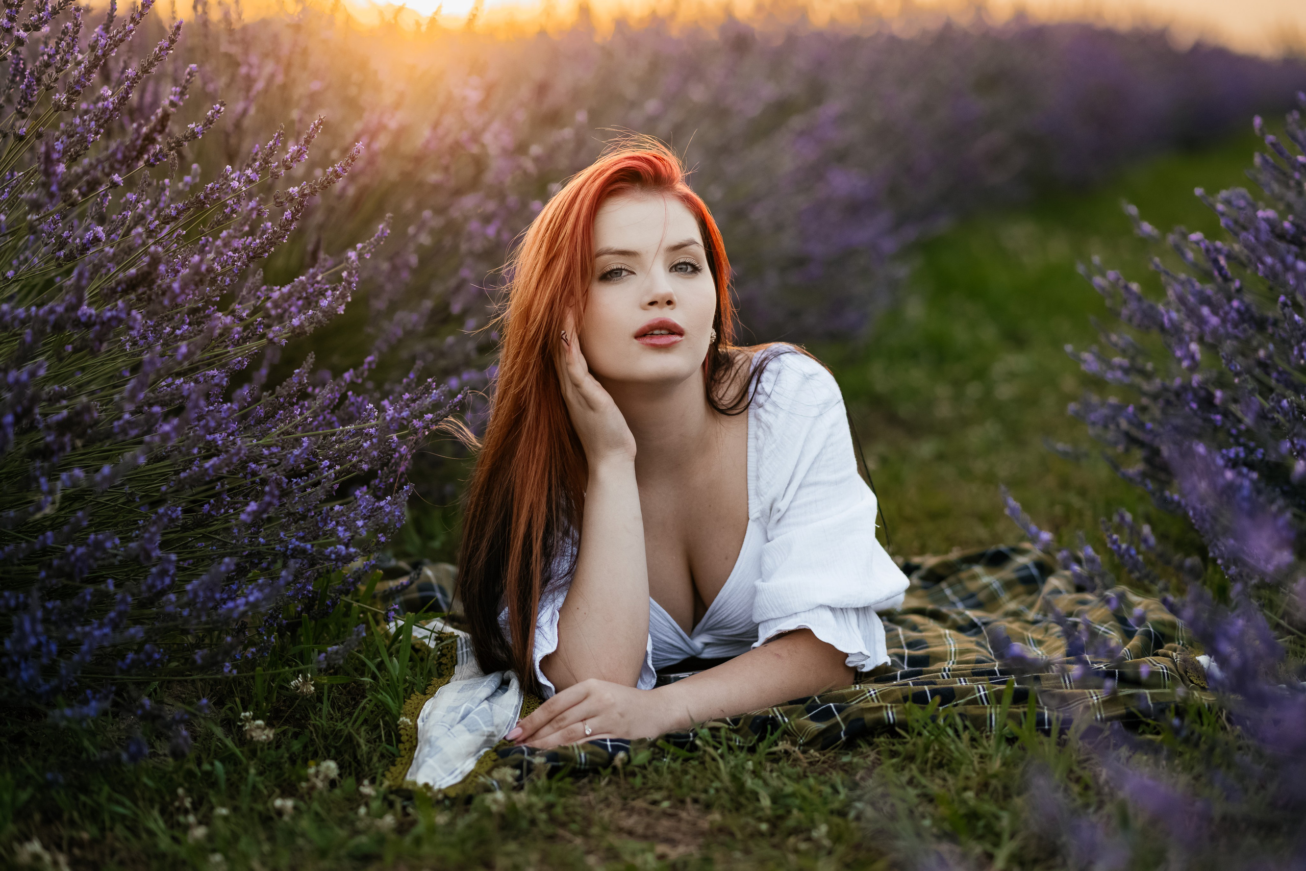 Лаванда 2024. Дитячий та сімейний фотограф м.Бровари