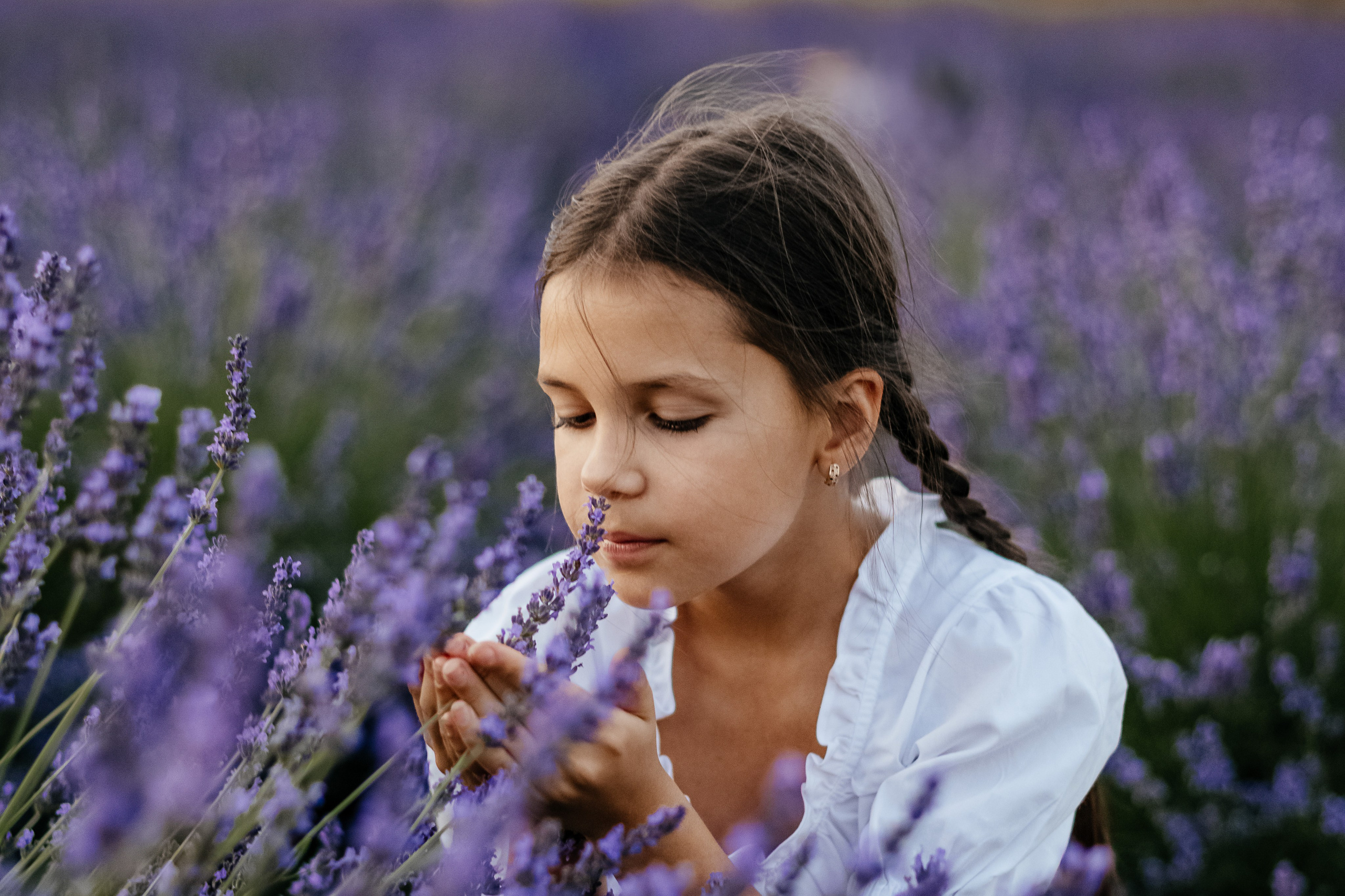 Лаванда 2024. Дитячий та сімейний фотограф м.Бровари