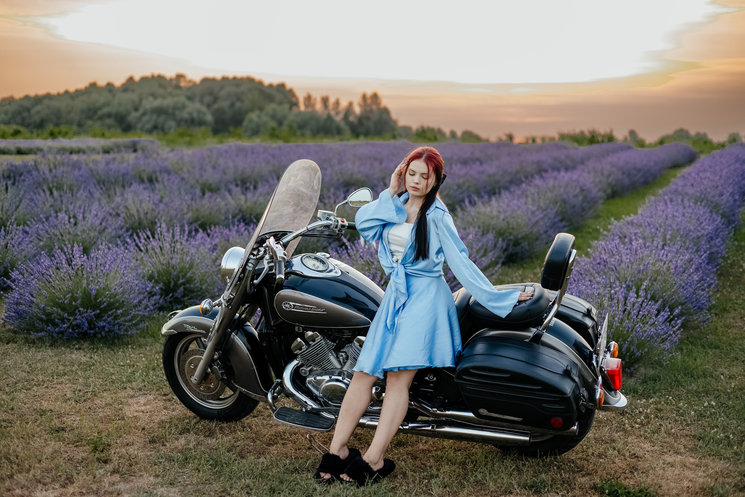 Лаванда 2024. Дитячий та сімейний фотограф м.Бровари