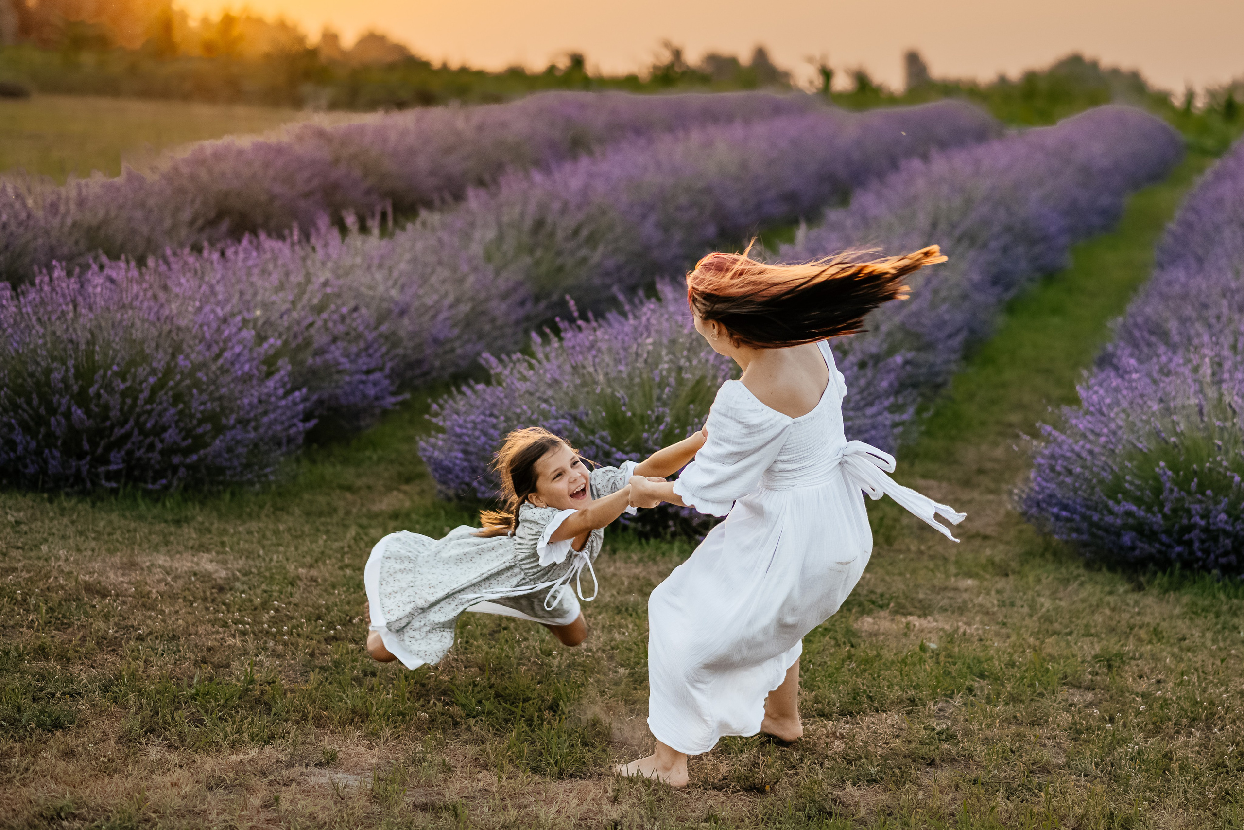 Лаванда 2024. Дитячий та сімейний фотограф м.Бровари