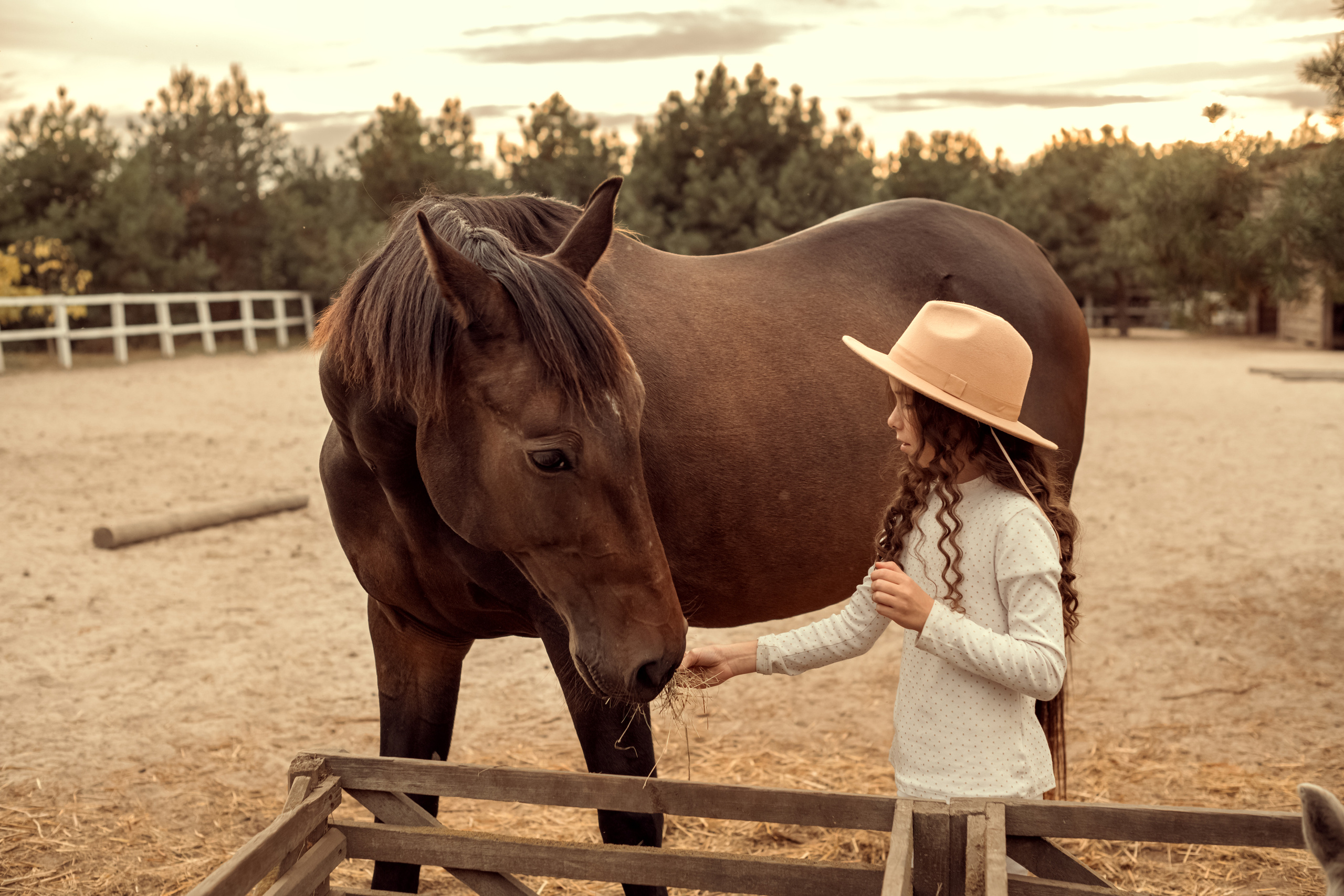 Ранчо Іго-Го. Дитячий та сімейний фотограф м.Бровари