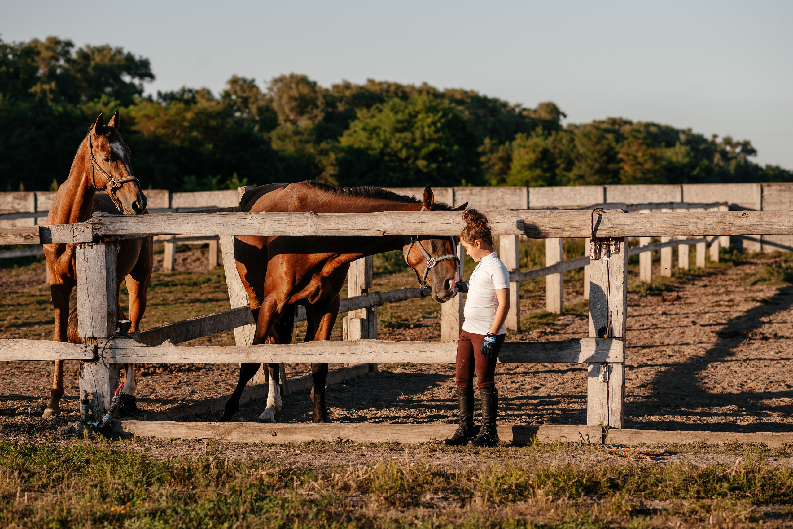 Маленька історія Еміліі. Дитячий та сімейний фотограф м.Бровари