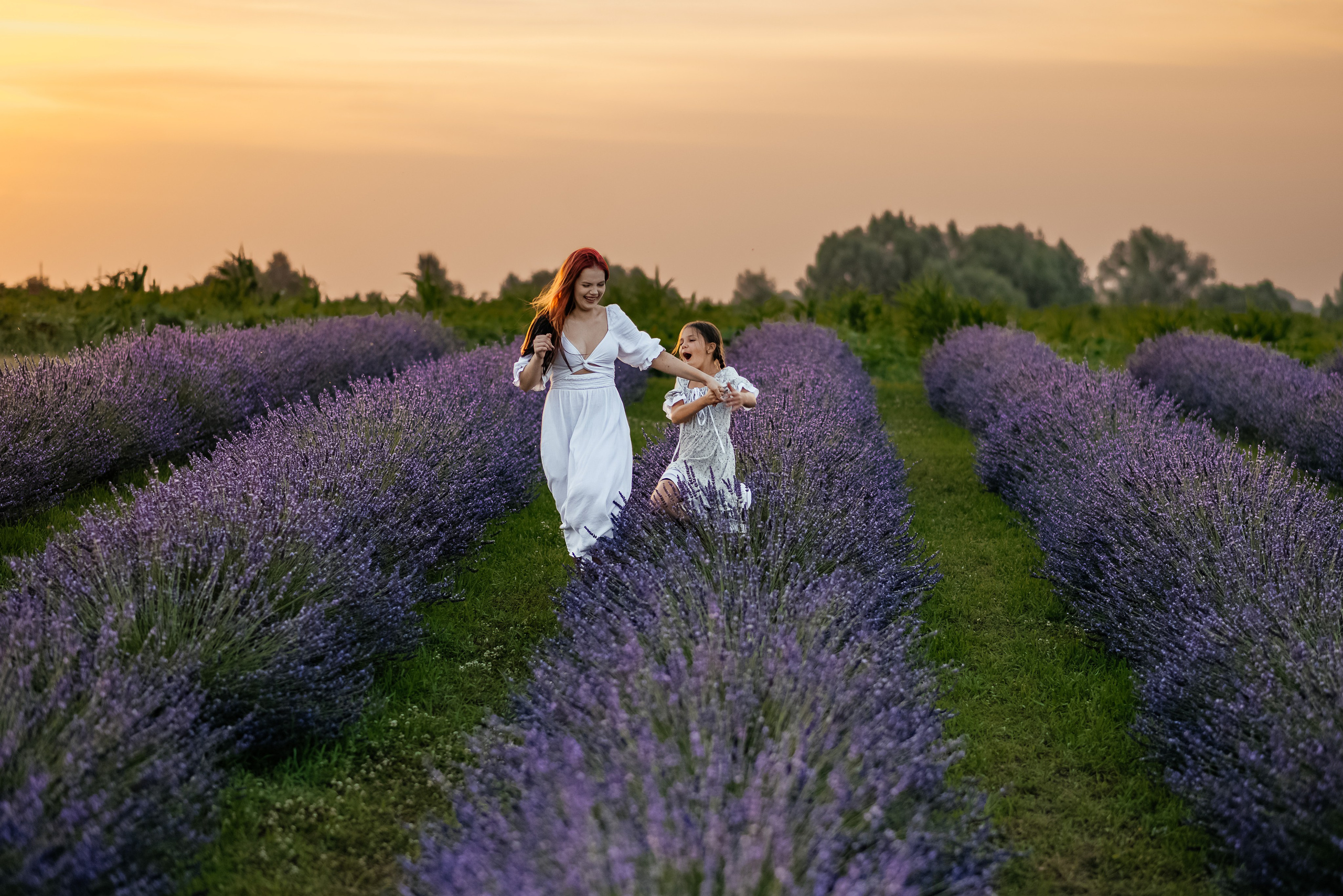 Лаванда 2024. Дитячий та сімейний фотограф м.Бровари