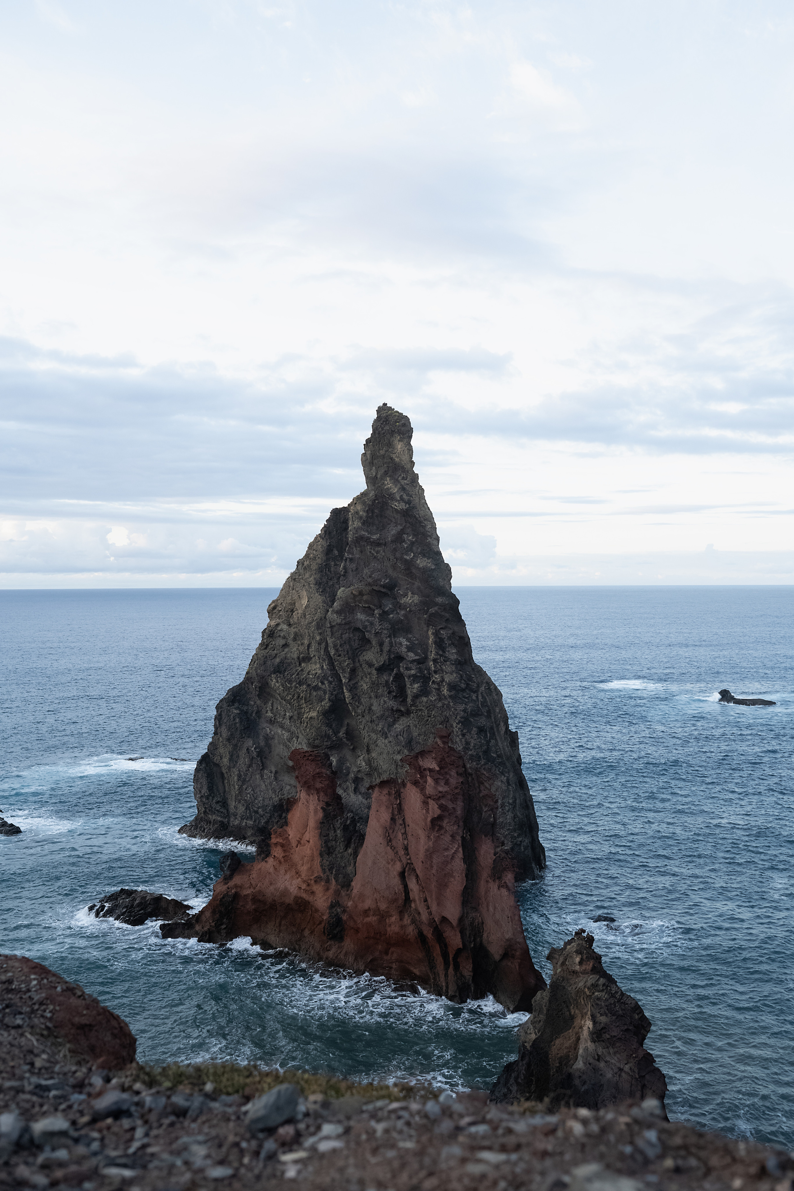 Мадейра. Дитячий та сімейний фотограф м.Бровари