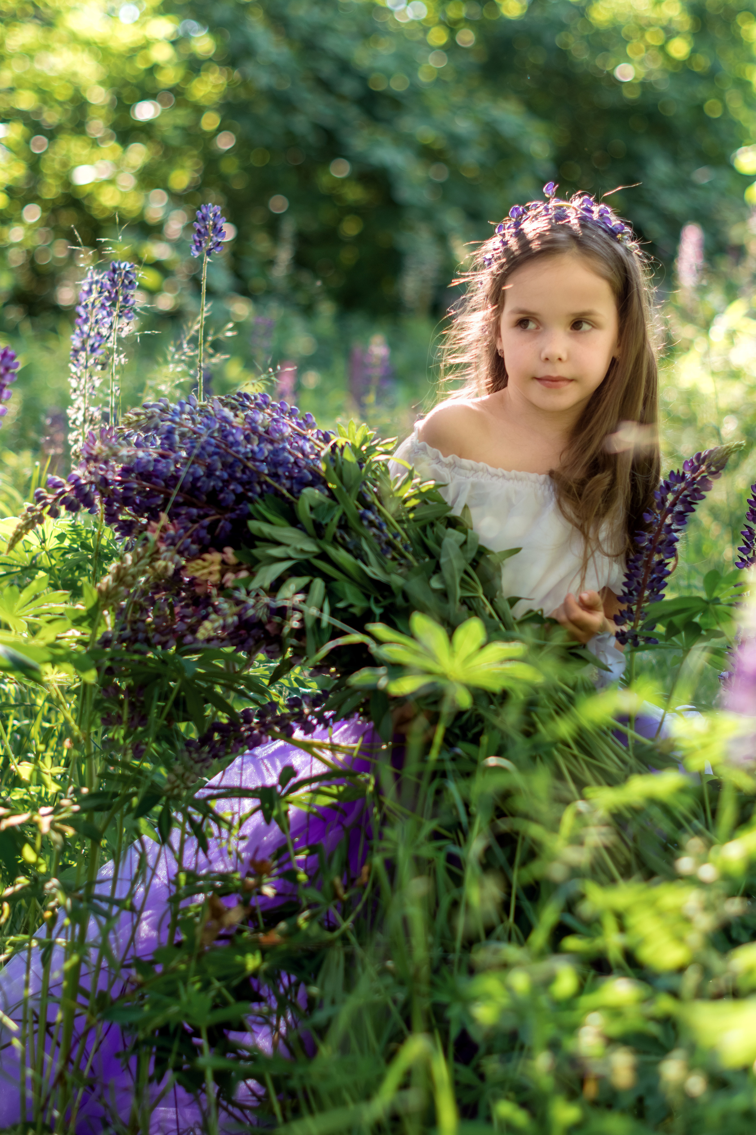 Люпини. Дитячий та сімейний фотограф м.Бровари