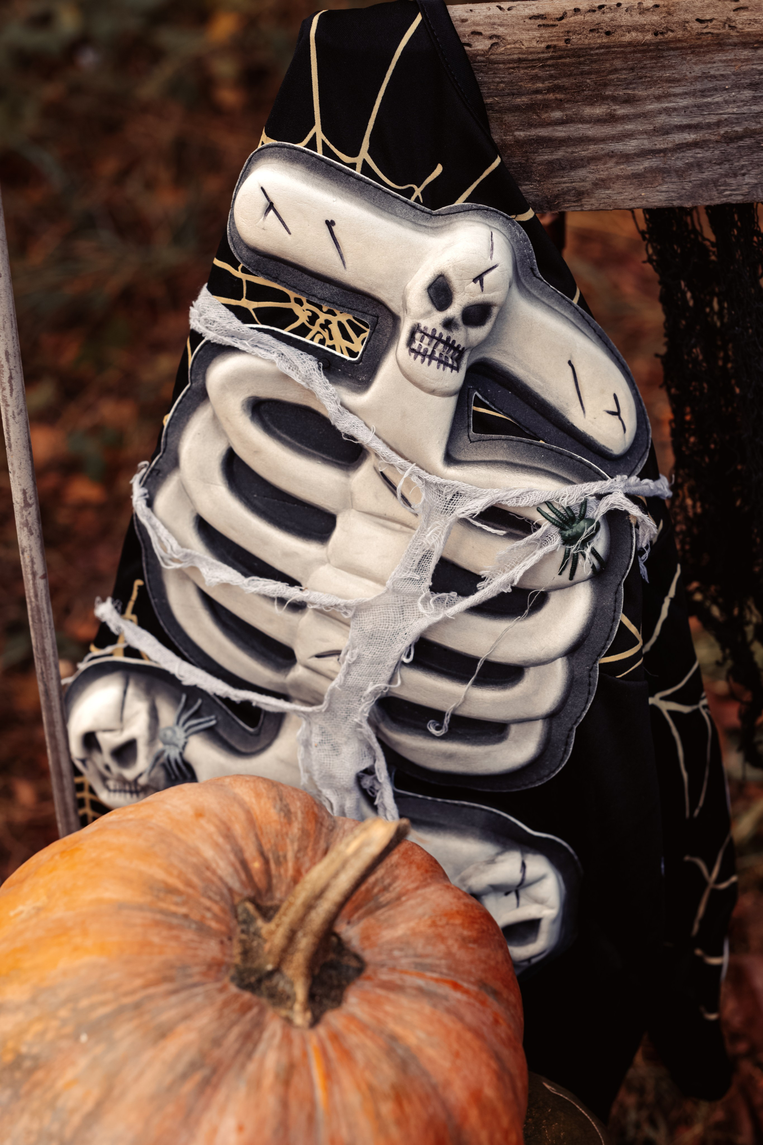 Helloween 2023. Дитячий та сімейний фотограф м.Бровари