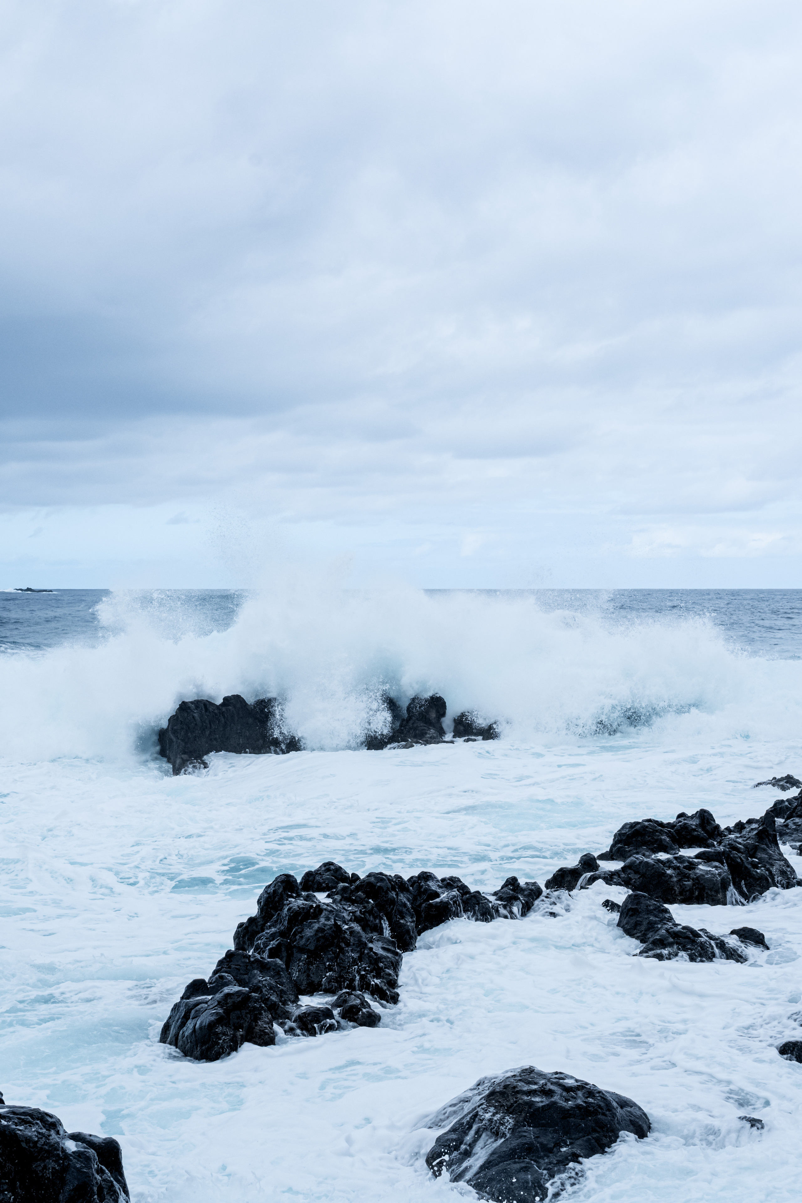 Мадейра. Дитячий та сімейний фотограф м.Бровари