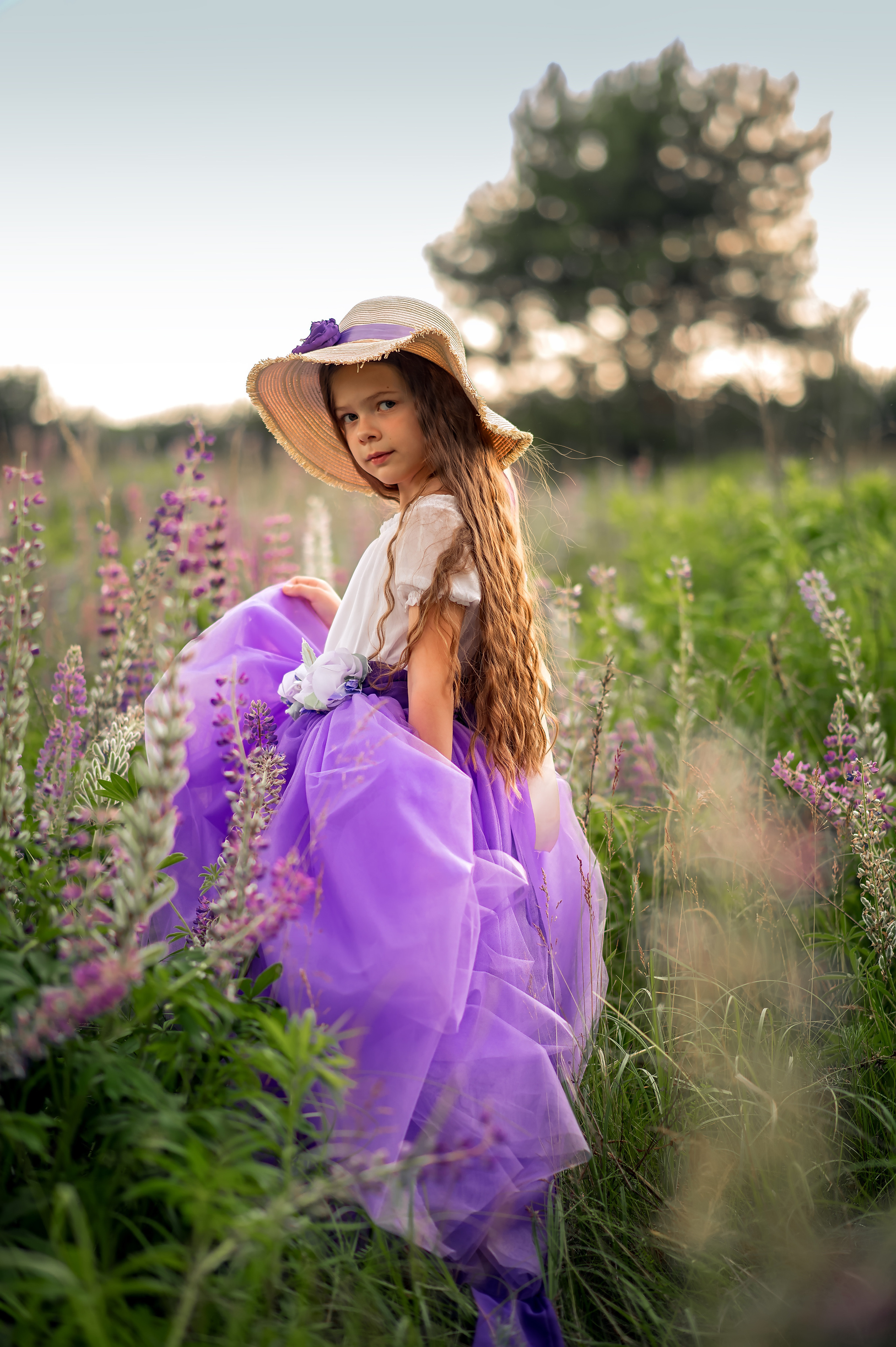 Люпини. Дитячий та сімейний фотограф м.Бровари