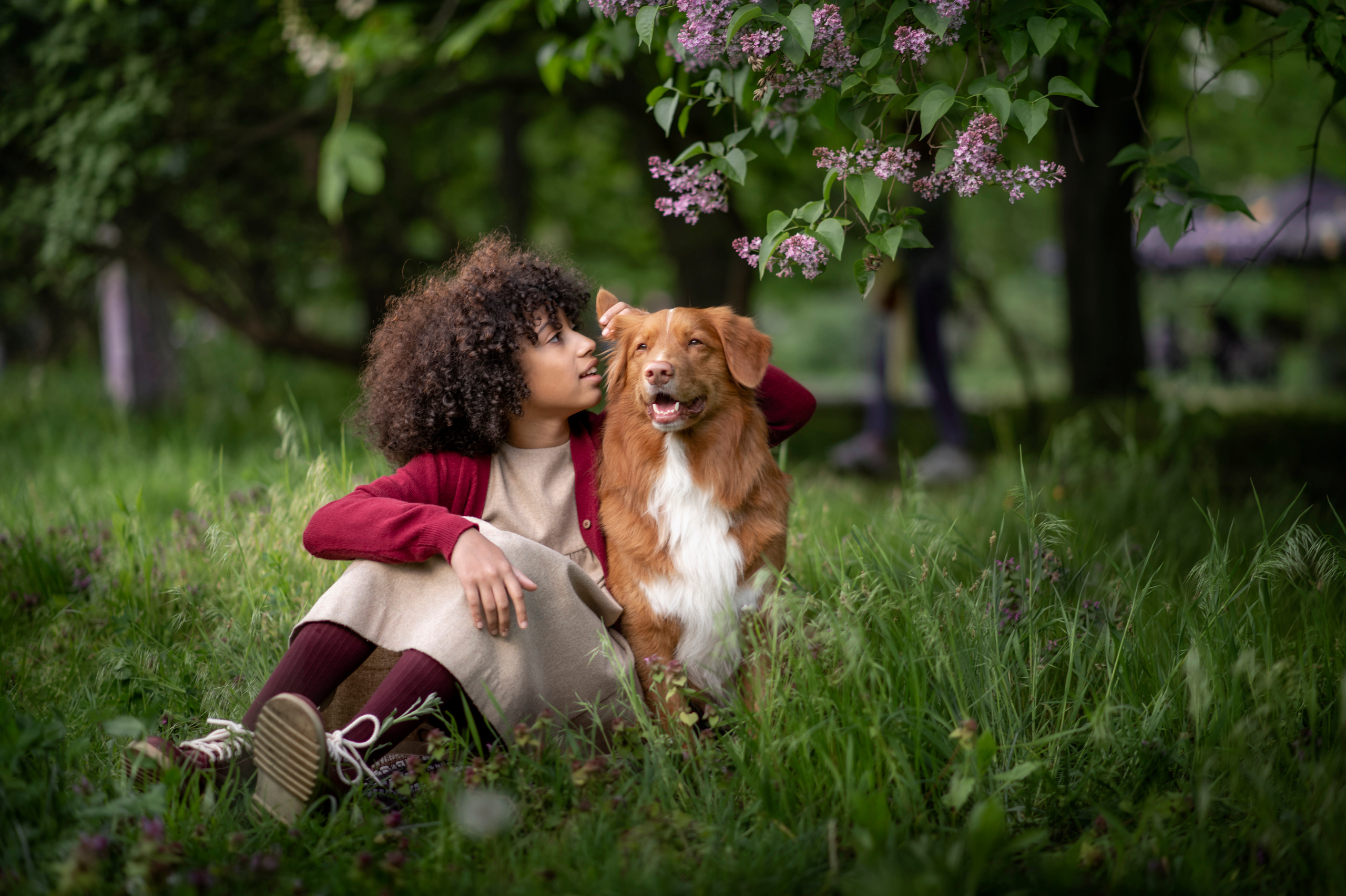 Яблуневі історії. Дитячий та сімейний фотограф м.Бровари