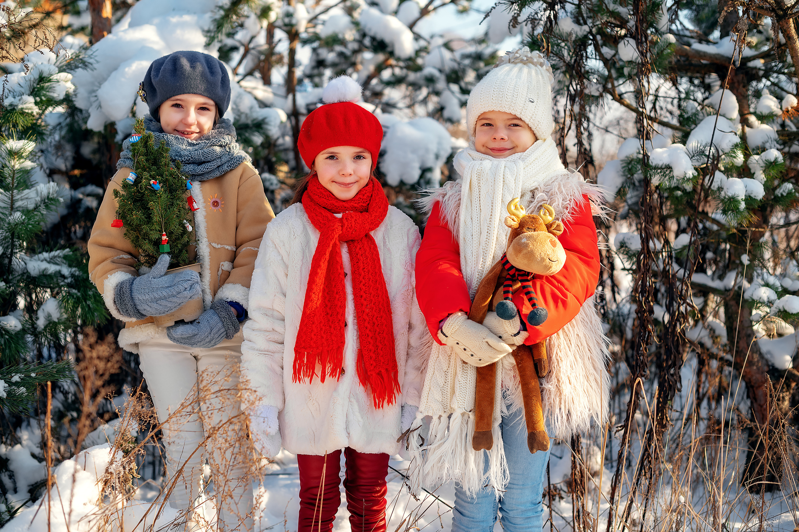 Зима. Дитячий та сімейний фотограф м.Бровари