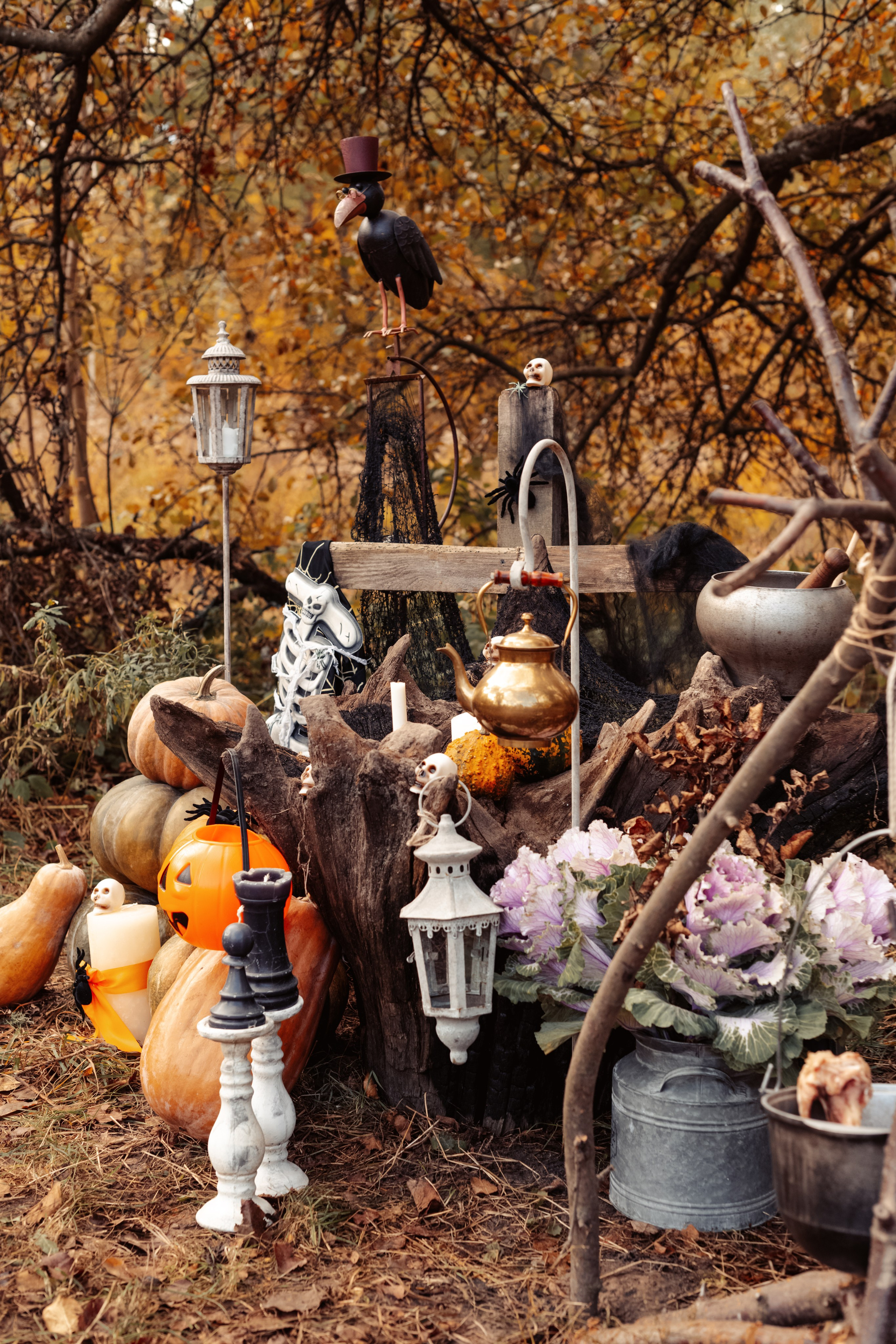 Helloween 2023. Дитячий та сімейний фотограф м.Бровари