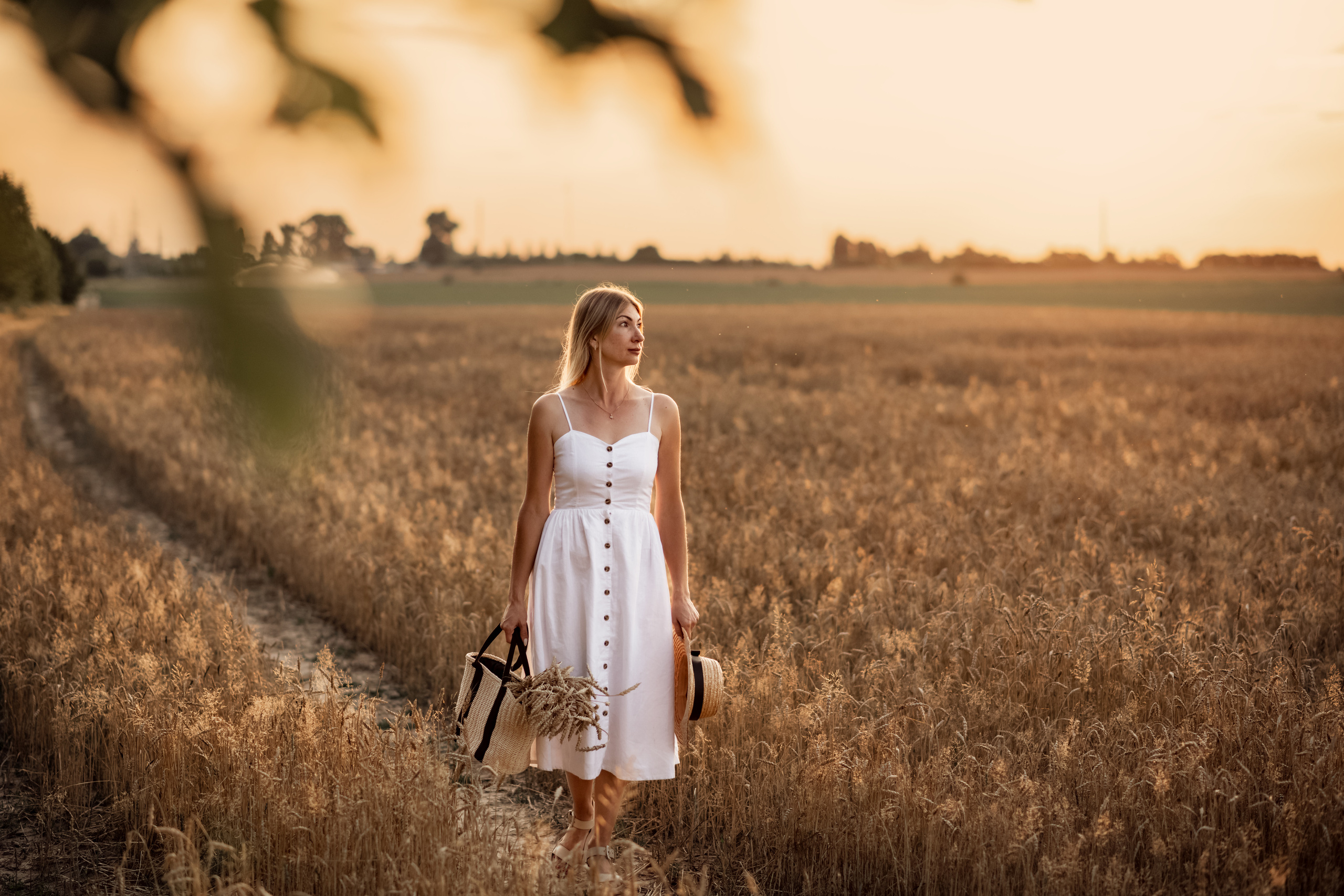 Wheat sunset. Дитячий та сімейний фотограф м.Бровари