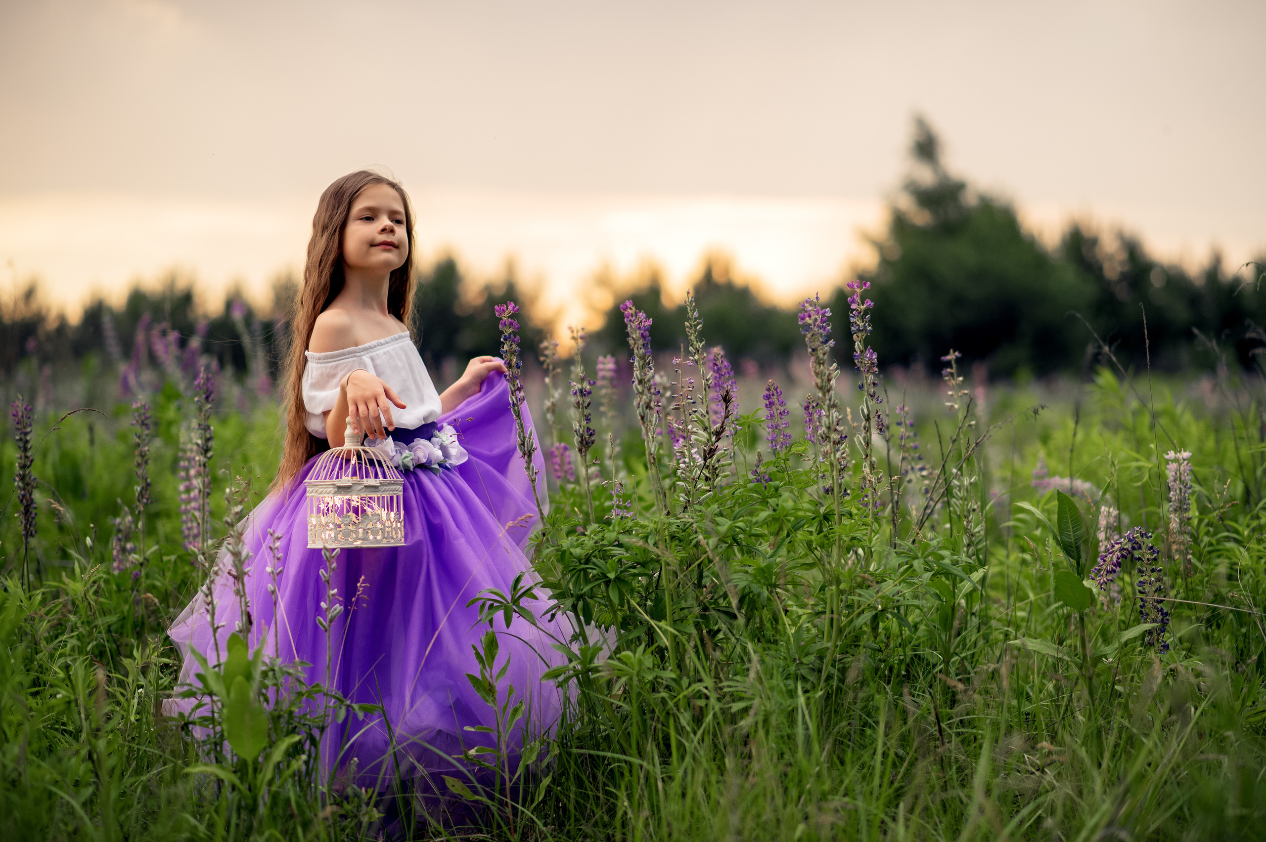 Люпини. Дитячий та сімейний фотограф м.Бровари