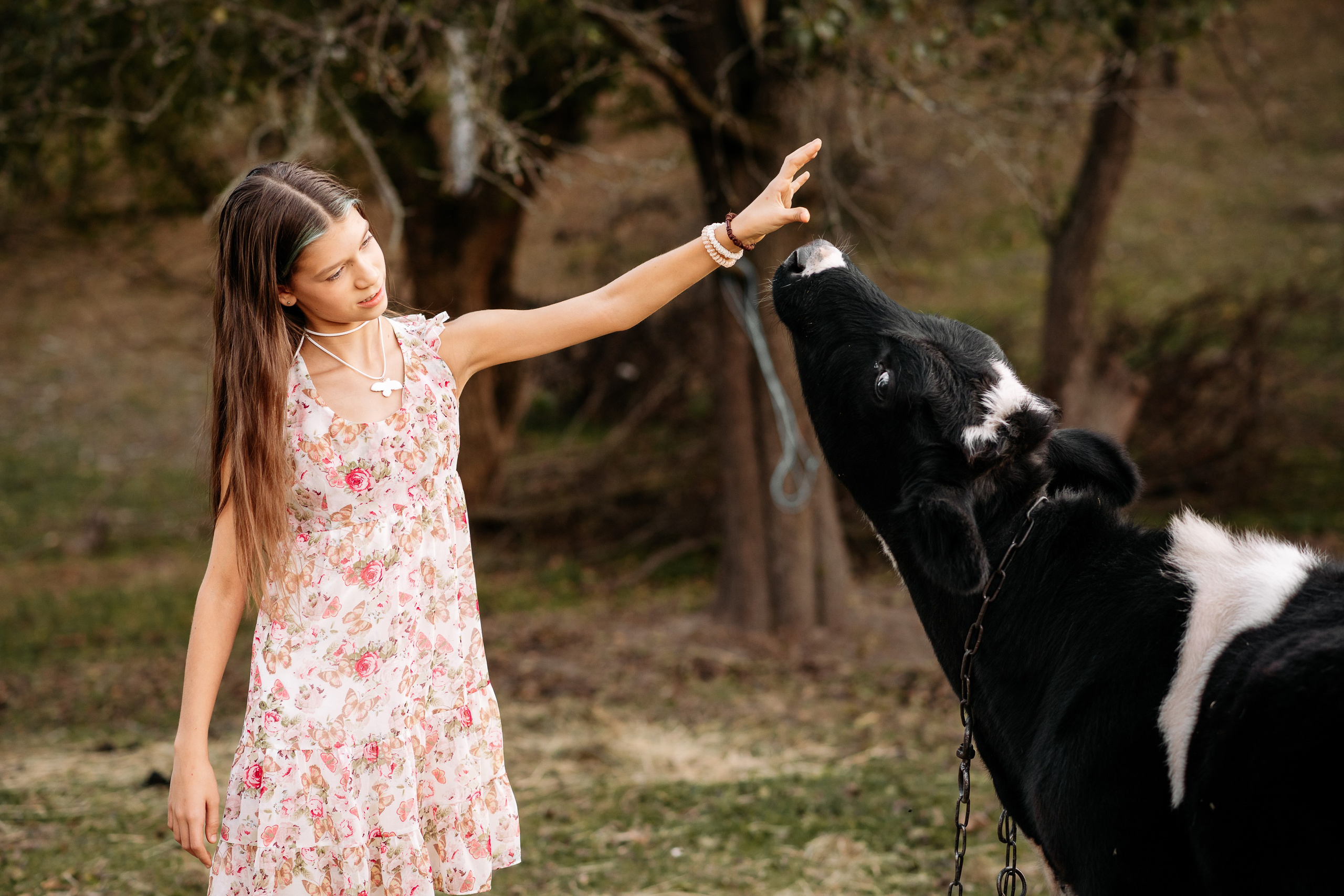 Sheepland. Дитячий та сімейний фотограф м.Бровари