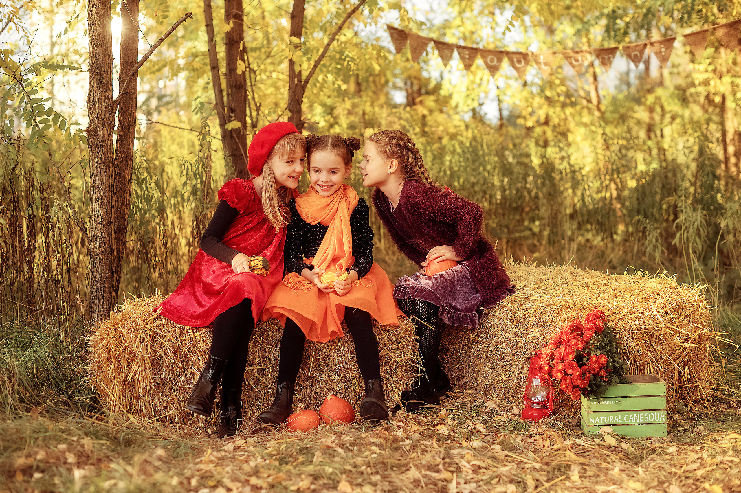 Золота Осінь. Дитячий та сімейний фотограф м.Бровари