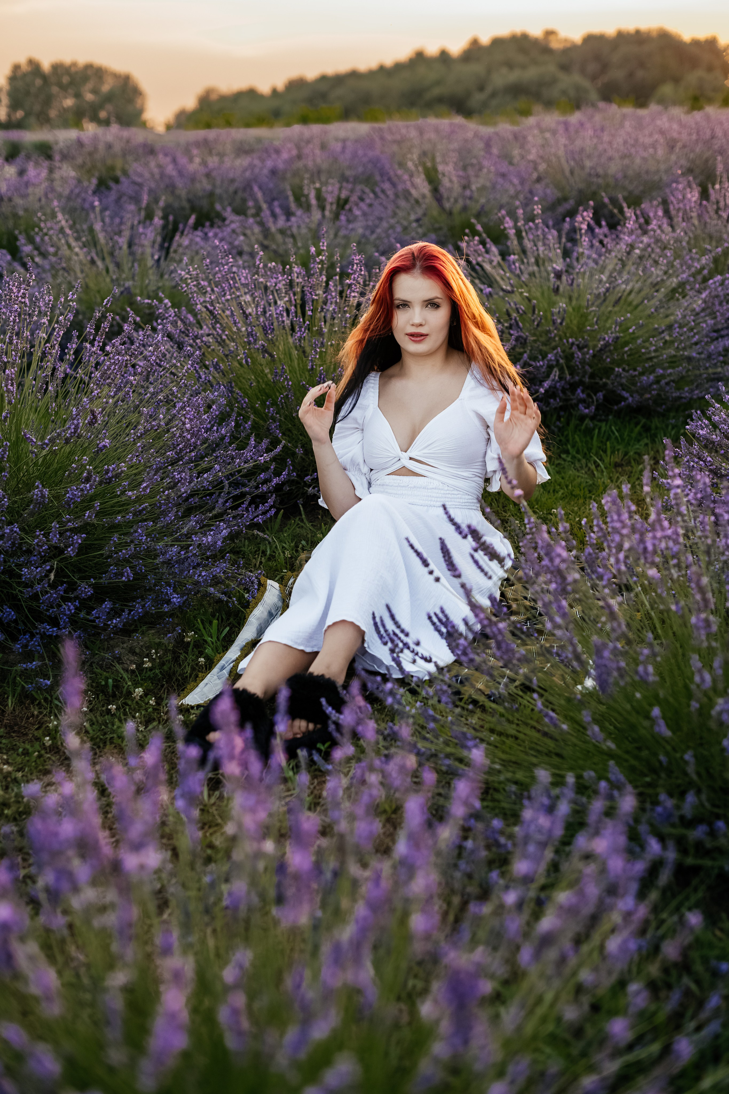 Лаванда 2024. Дитячий та сімейний фотограф м.Бровари