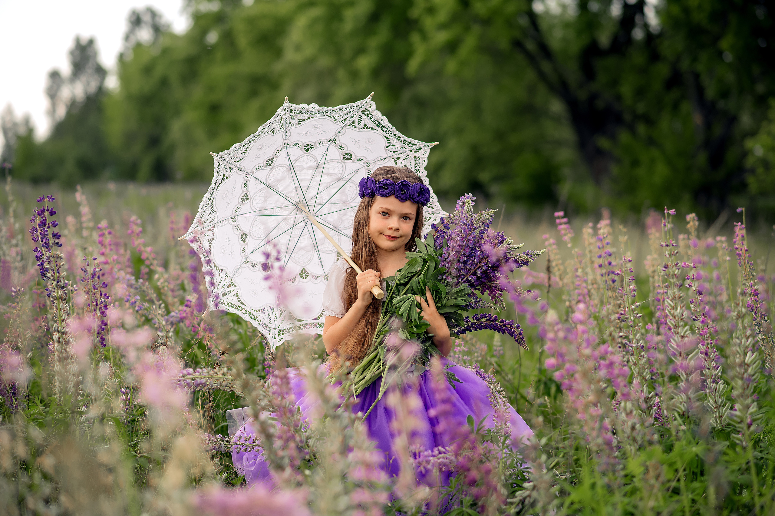 Люпини. Дитячий та сімейний фотограф м.Бровари