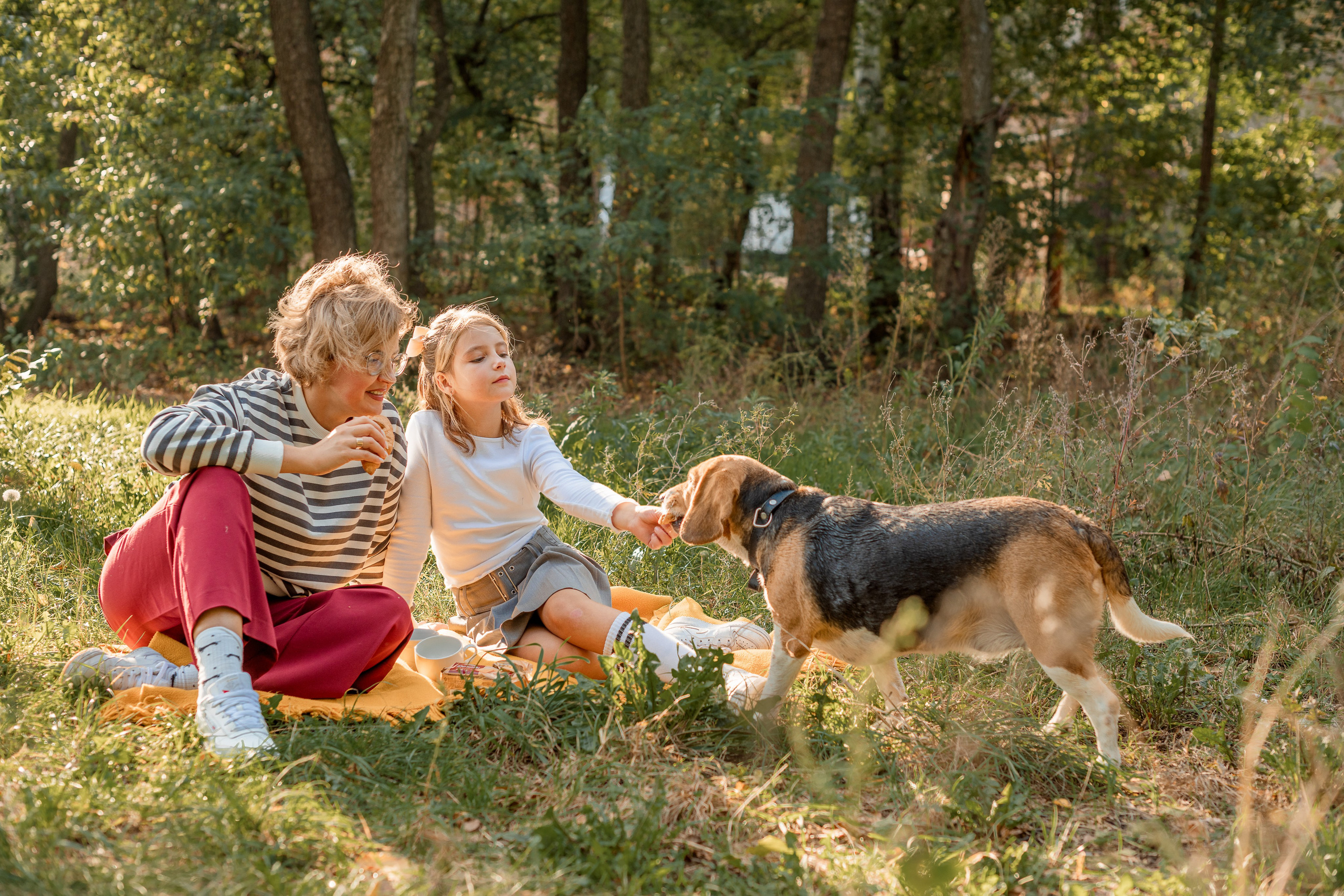 Осіння прогулянка. Дитячий та сімейний фотограф м.Бровари