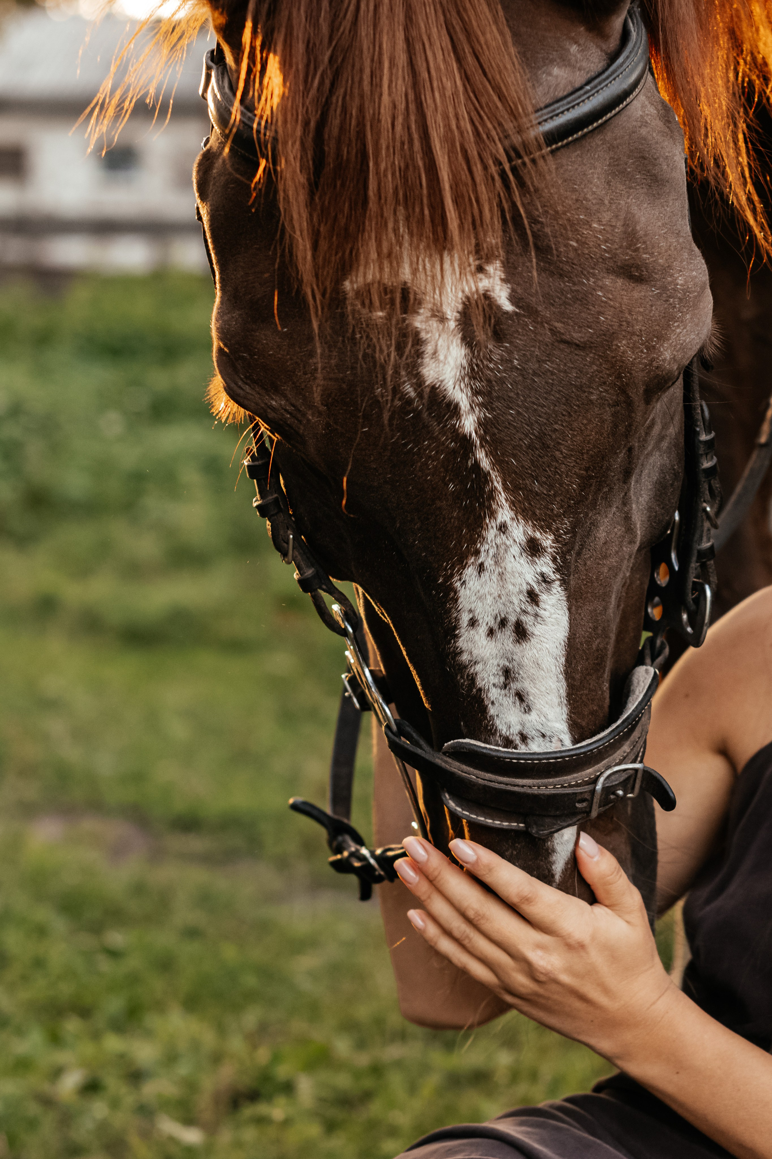 Фотосесія, що торкається серця. Дитячий та сімейний фотограф м.Бровари
