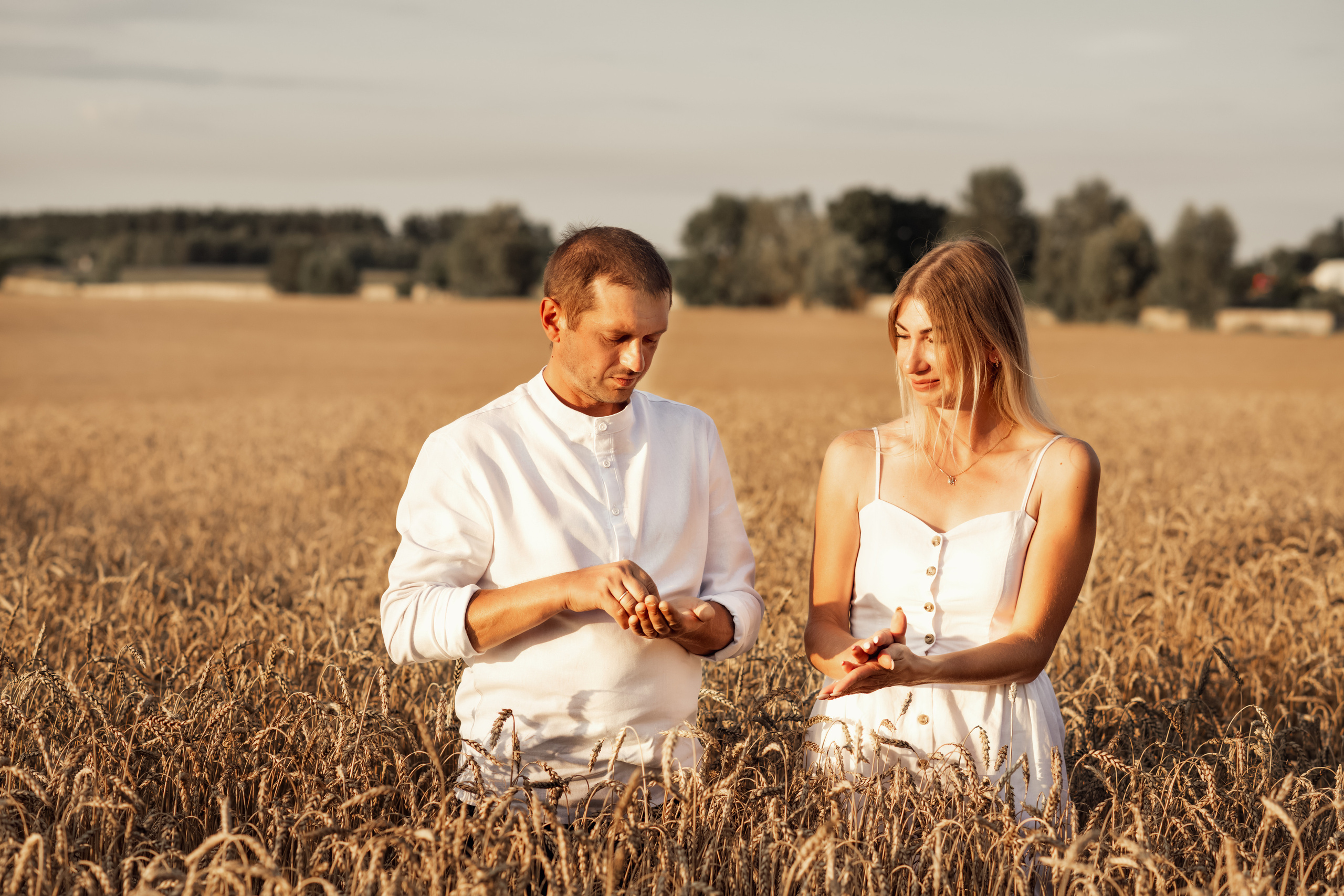 Wheat sunset. Дитячий та сімейний фотограф м.Бровари