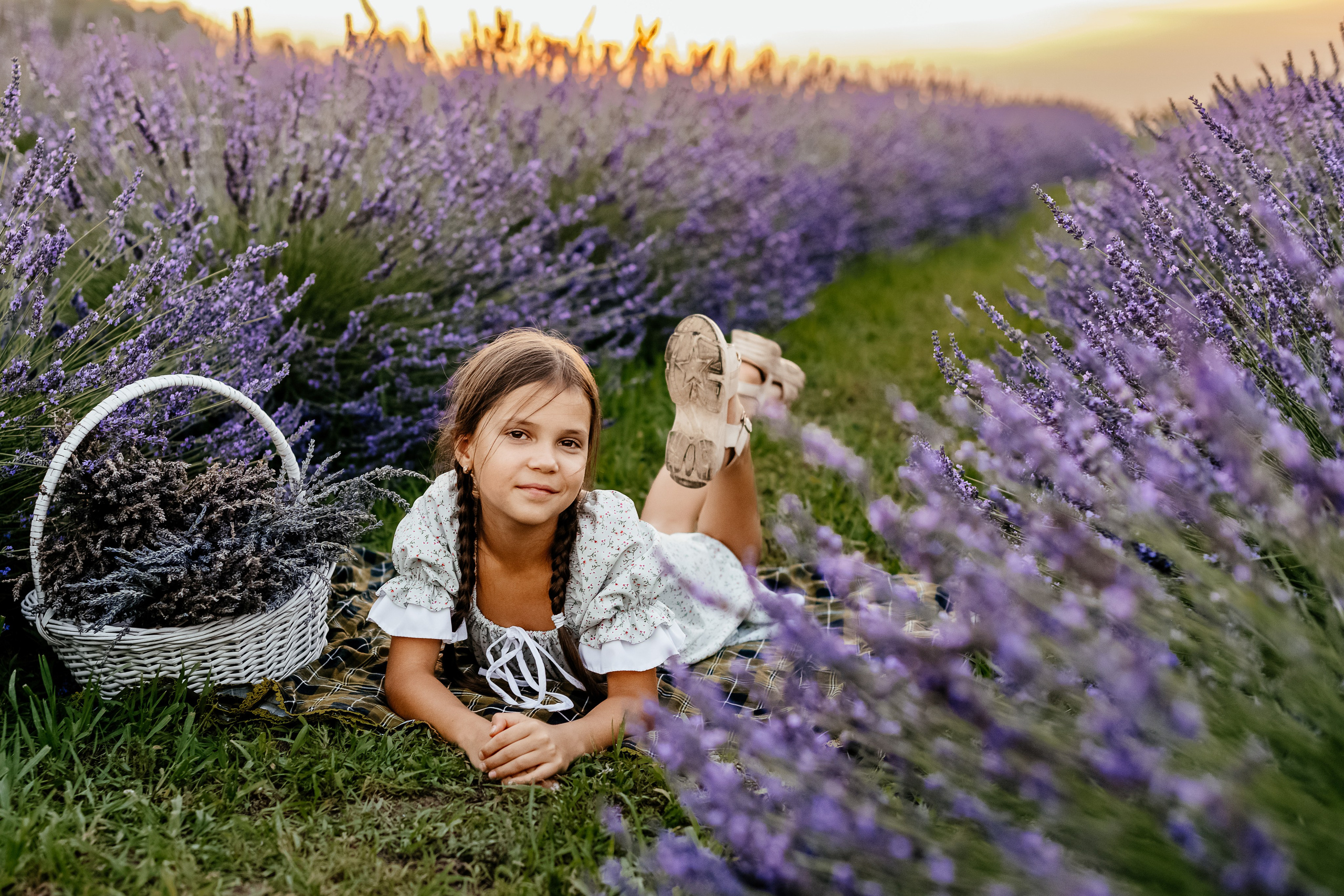 Лаванда 2024. Дитячий та сімейний фотограф м.Бровари
