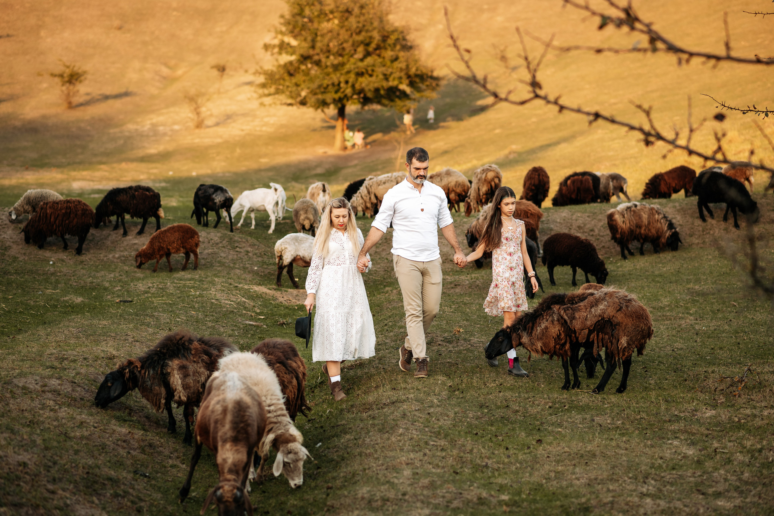 Sheepland. Дитячий та сімейний фотограф м.Бровари