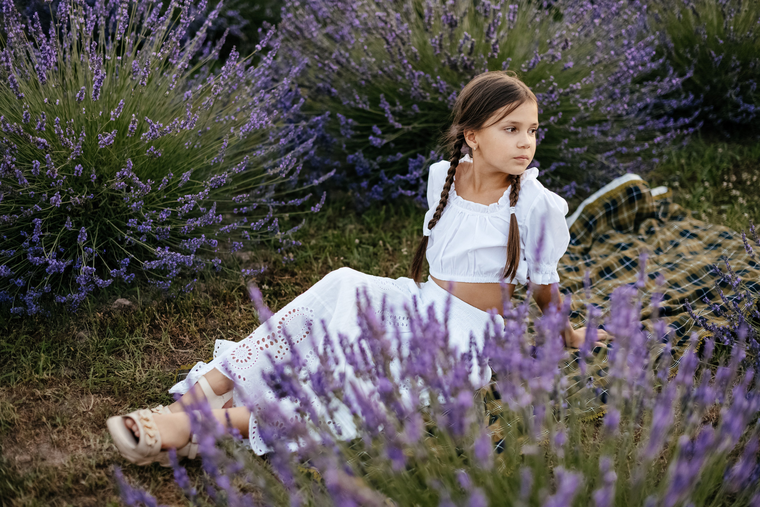Лаванда 2024. Дитячий та сімейний фотограф м.Бровари