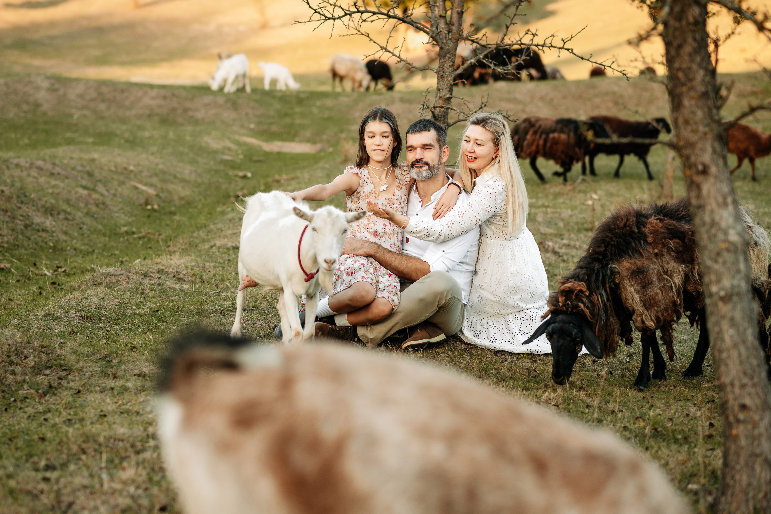 Sheepland. Дитячий та сімейний фотограф м.Бровари