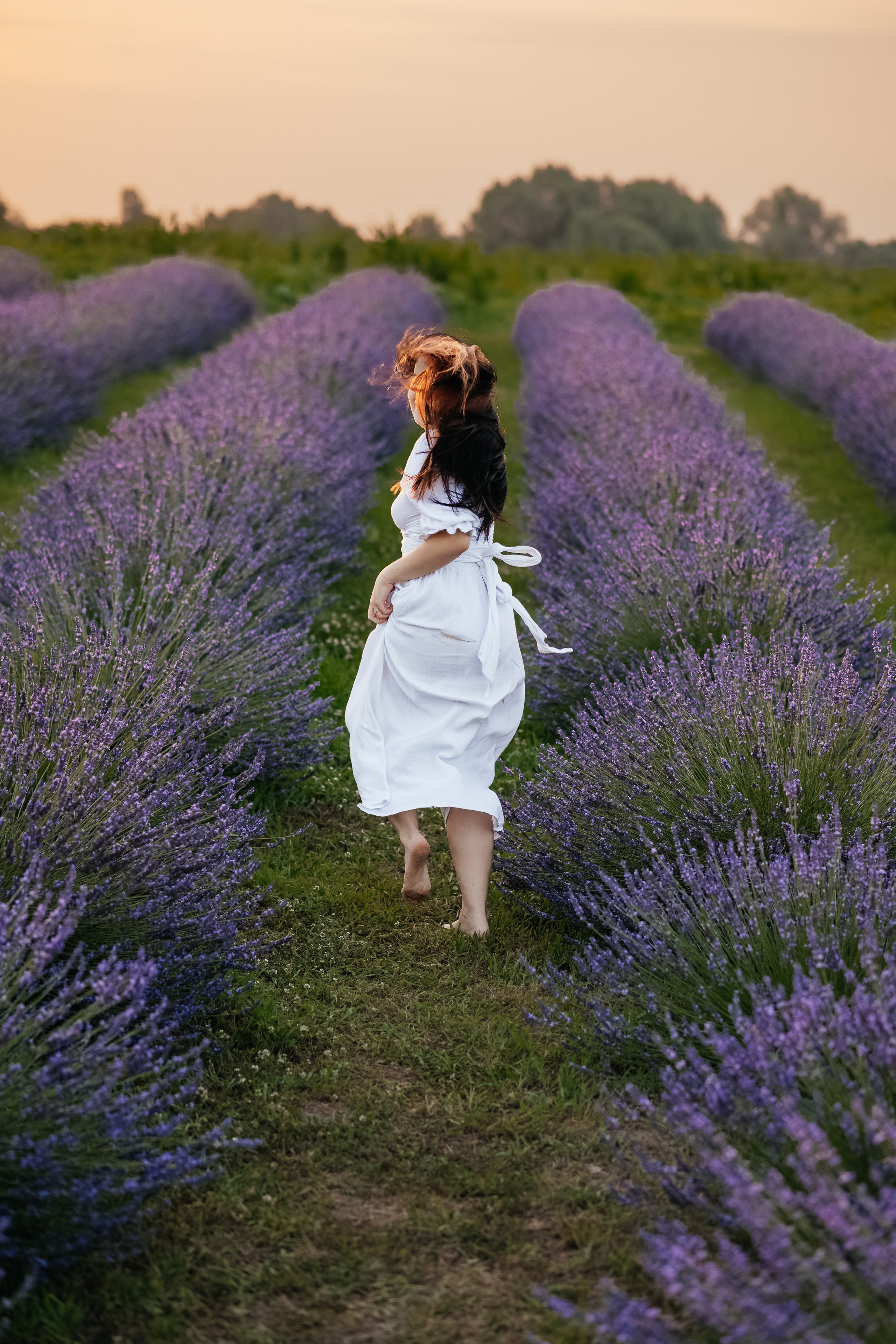Лаванда 2024. Дитячий та сімейний фотограф м.Бровари