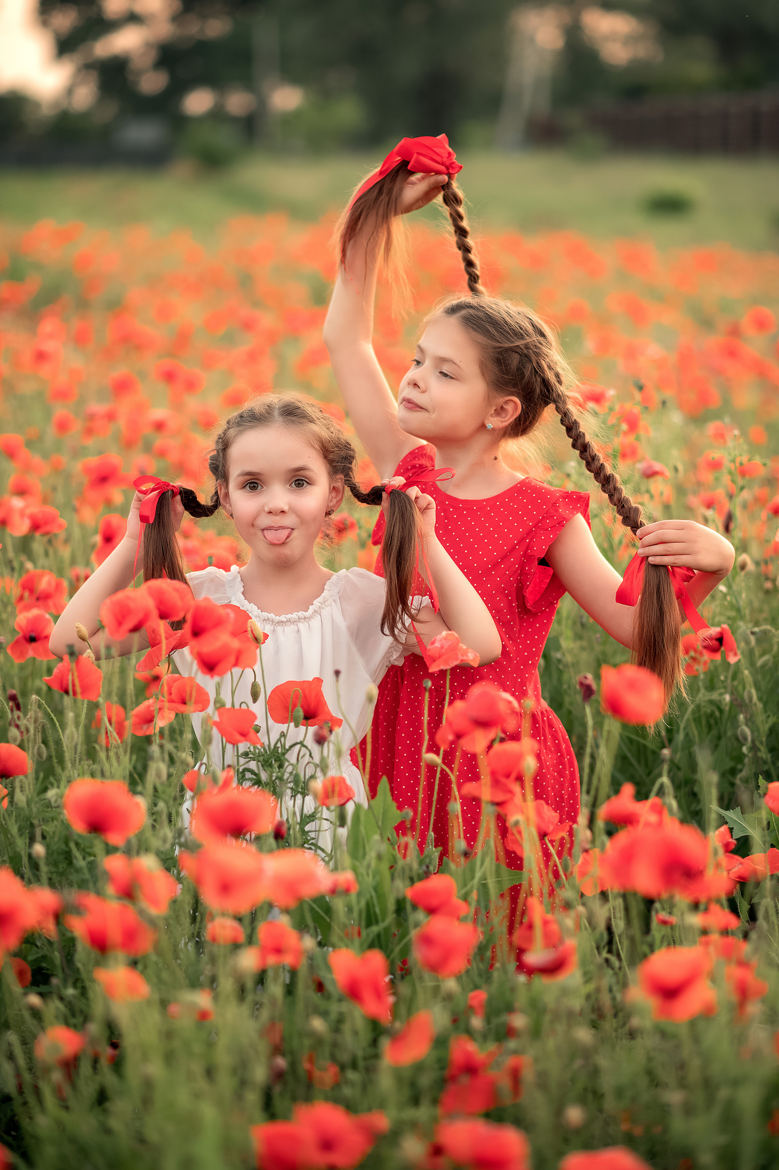 Маки. Дитячий та сімейний фотограф м.Бровари