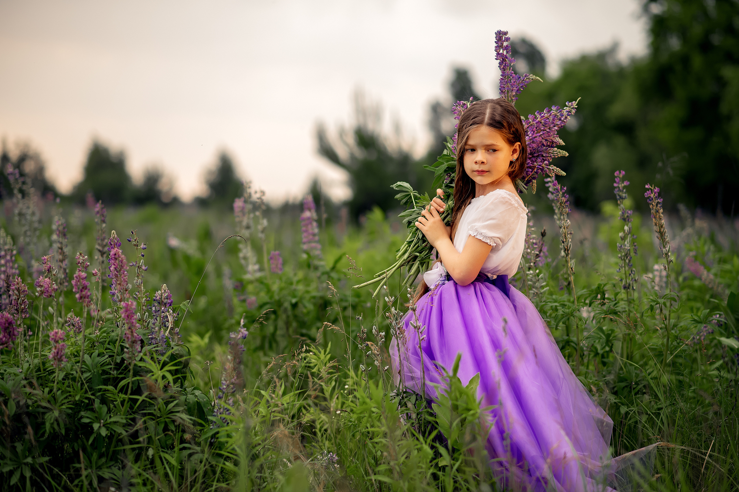 Люпини. Дитячий та сімейний фотограф м.Бровари