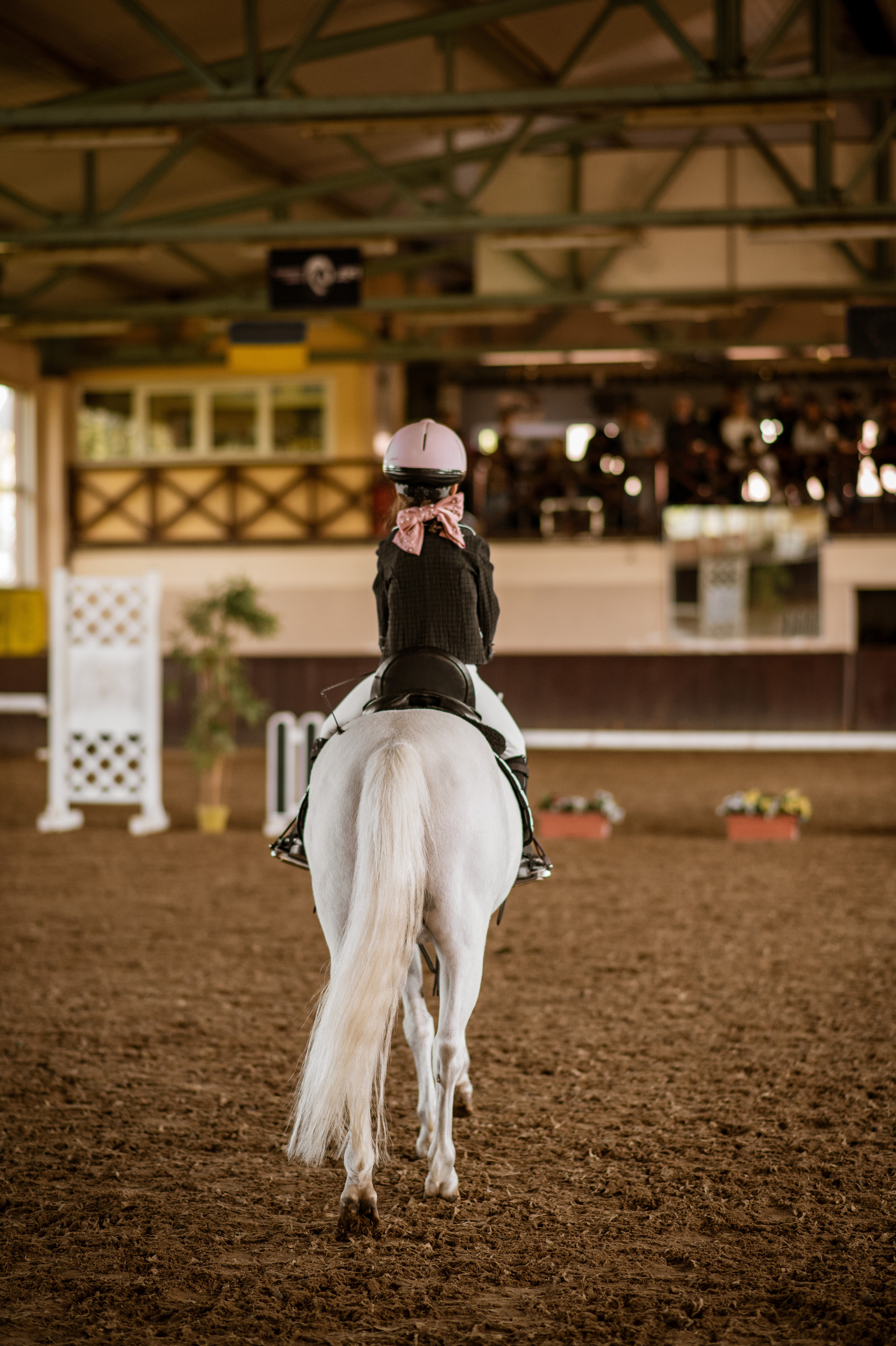 Кінний спорт. Дитячий та сімейний фотограф м.Бровари
