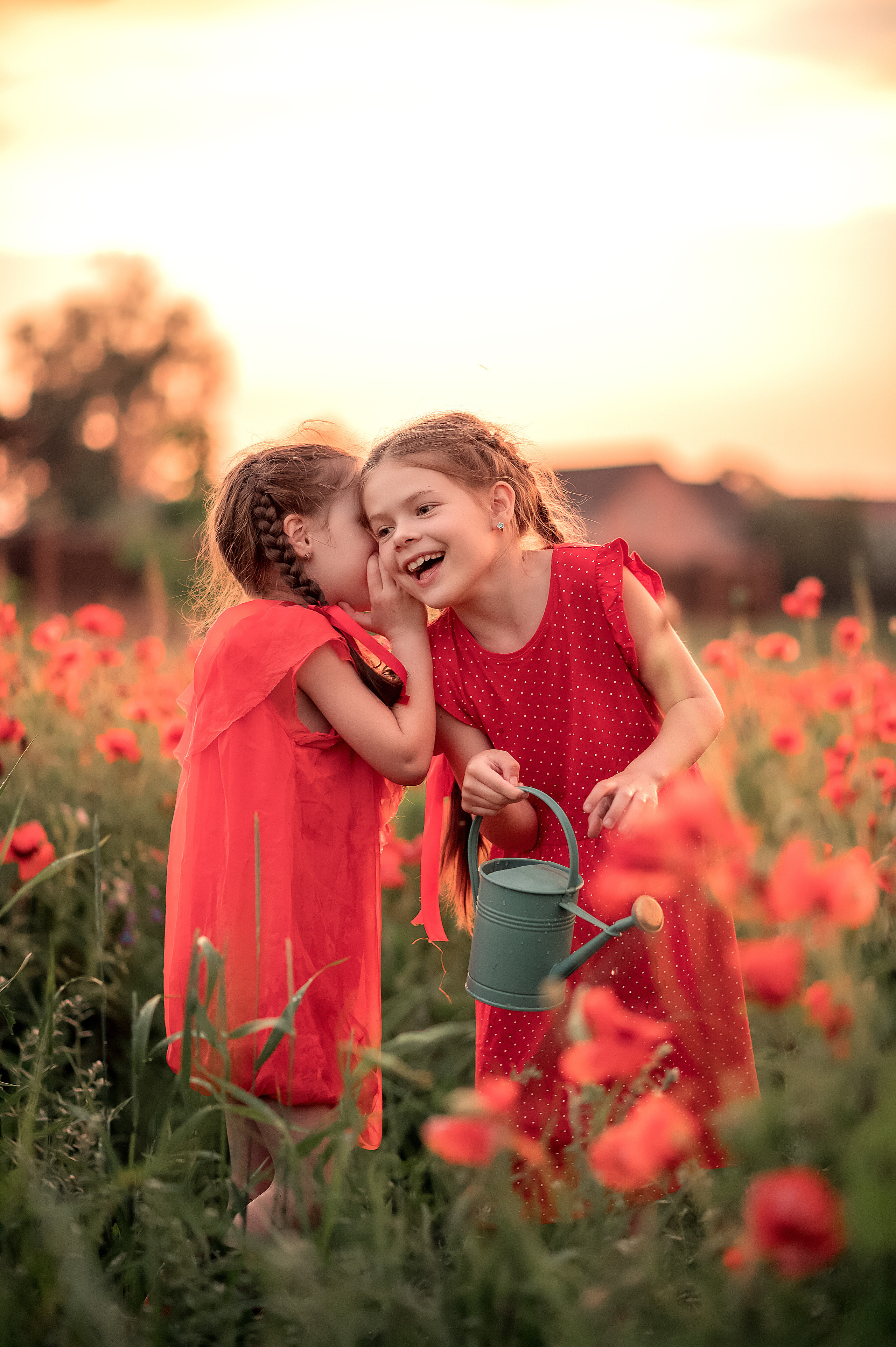 Маки. Дитячий та сімейний фотограф м.Бровари