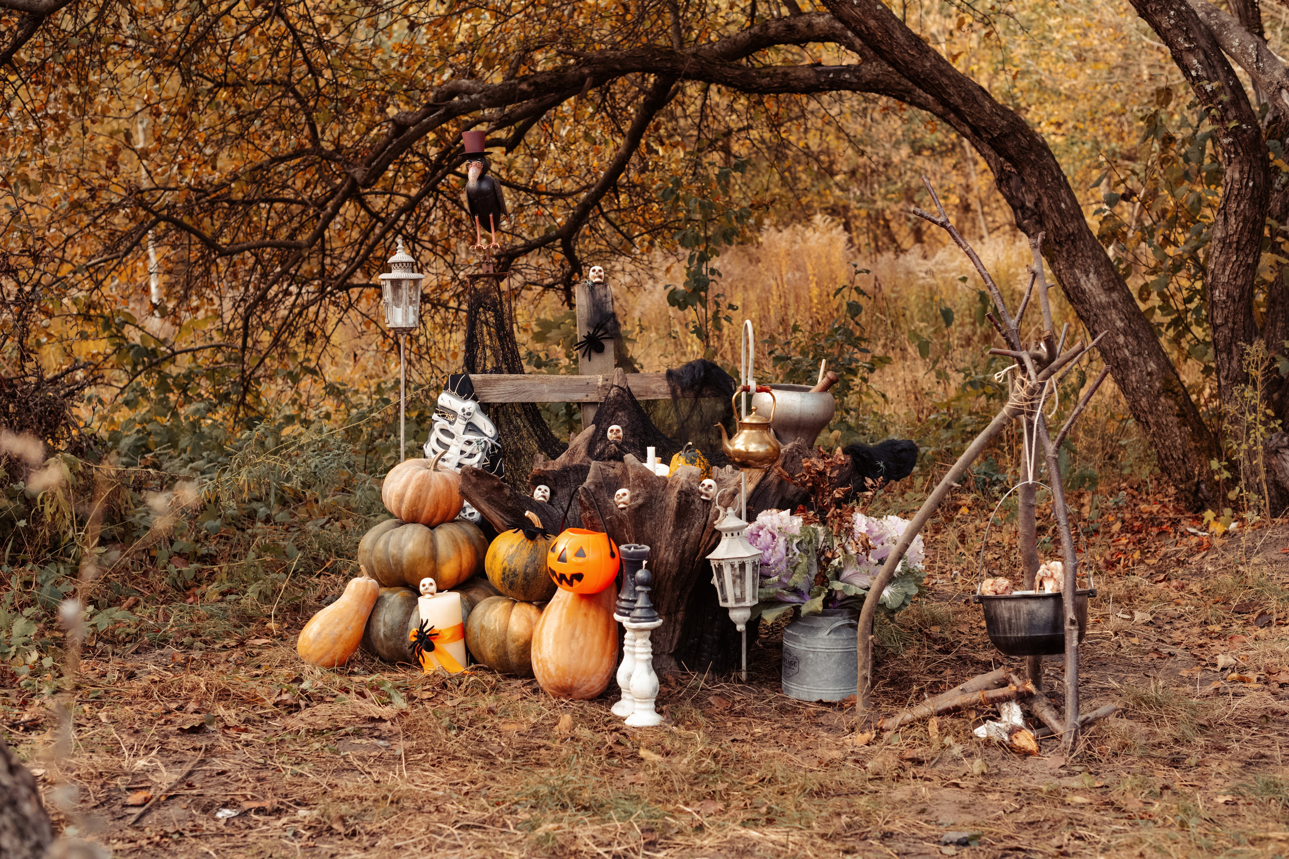 Helloween 2023. Дитячий та сімейний фотограф м.Бровари