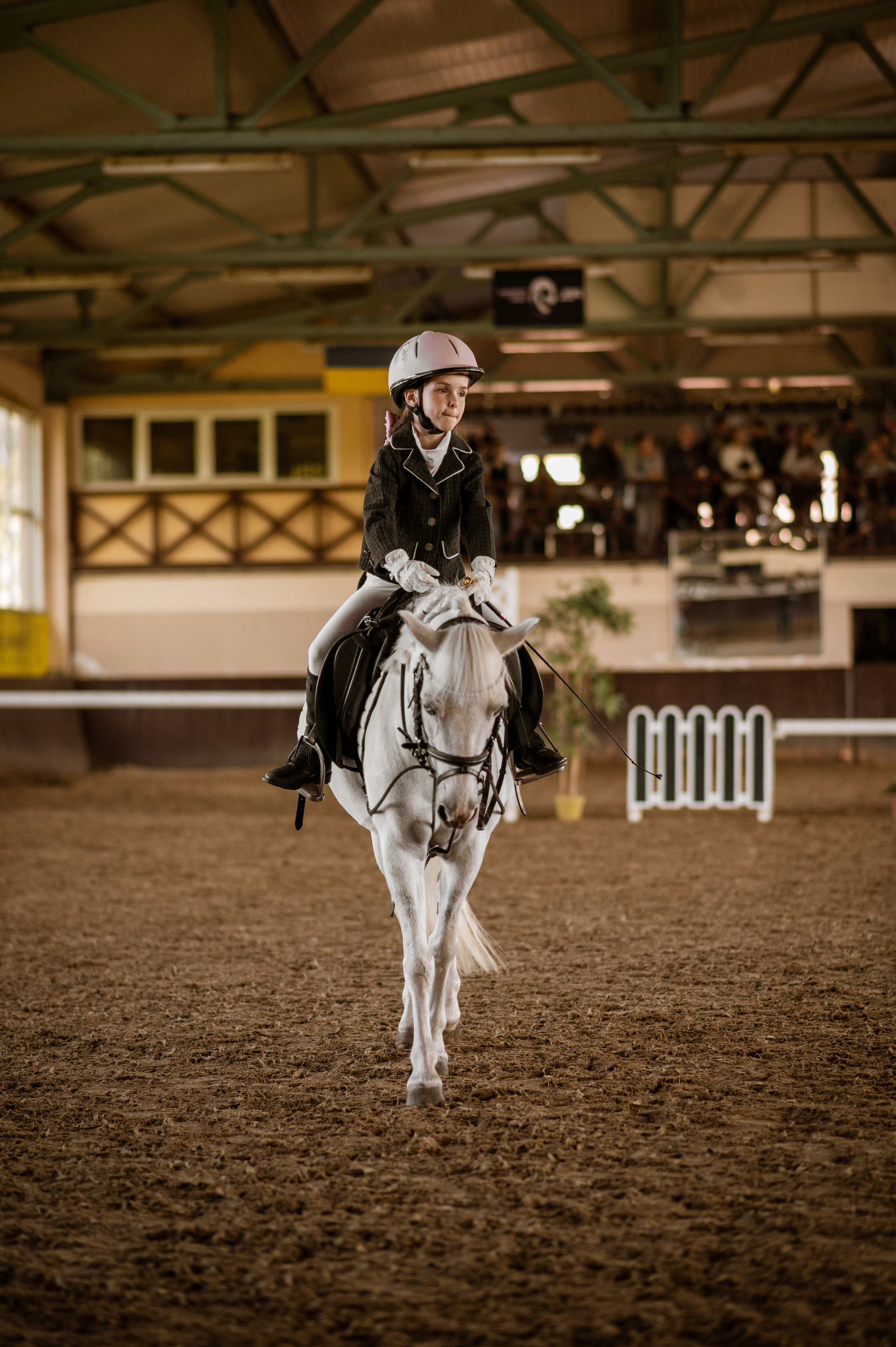Кінний спорт. Дитячий та сімейний фотограф м.Бровари