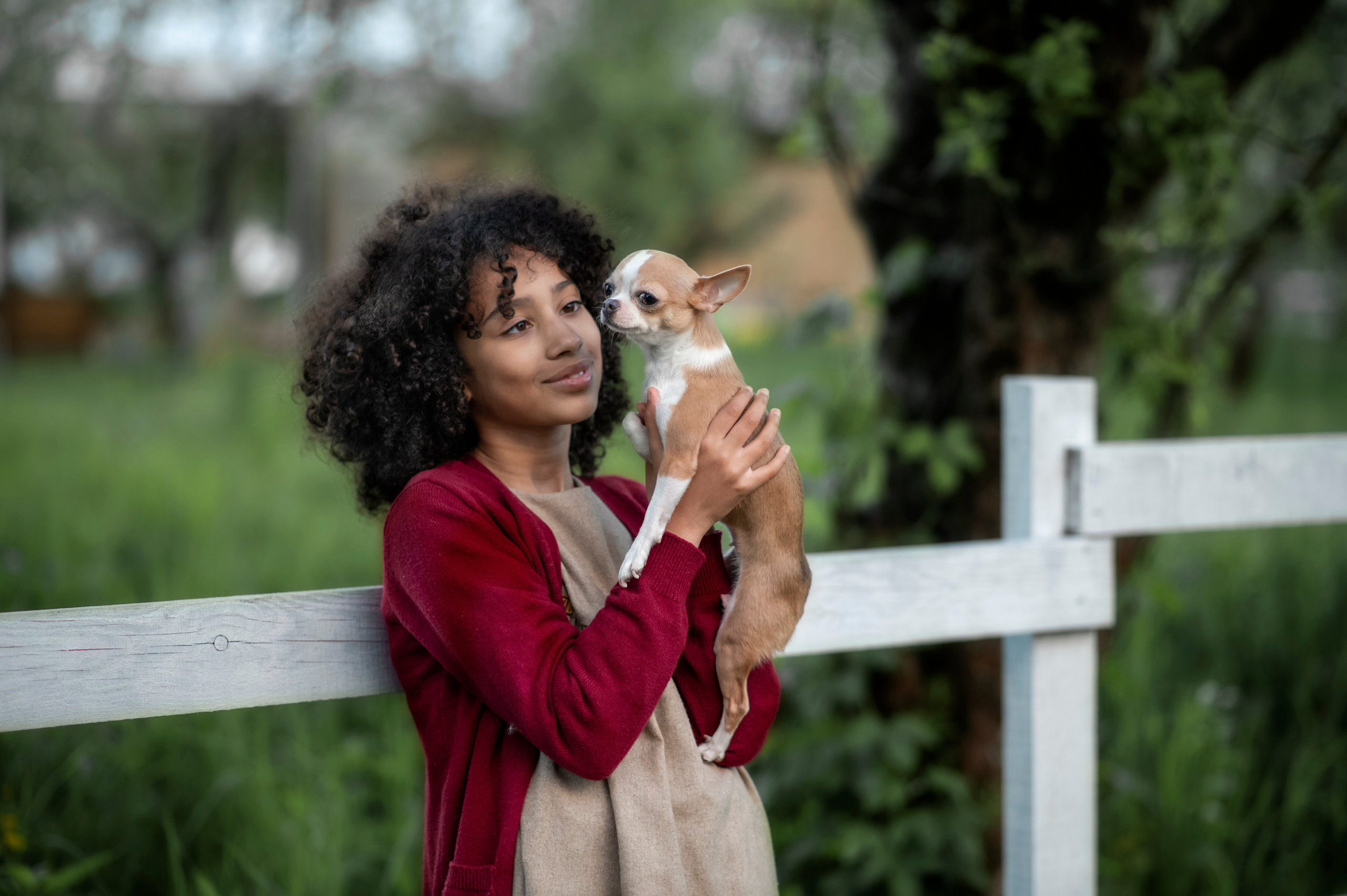 Яблуневі історії. Дитячий та сімейний фотограф м.Бровари