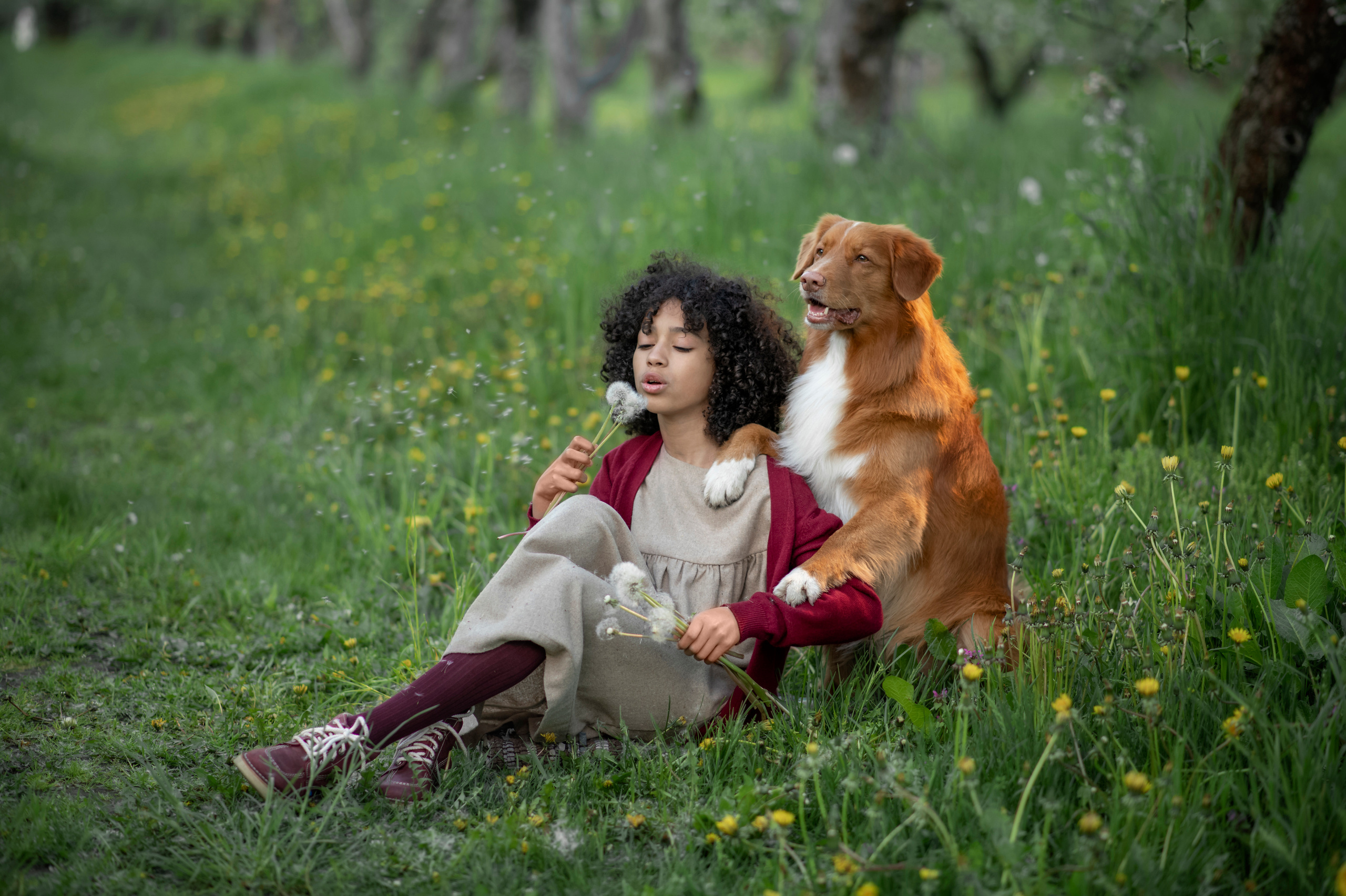Яблуневі історії. Дитячий та сімейний фотограф м.Бровари