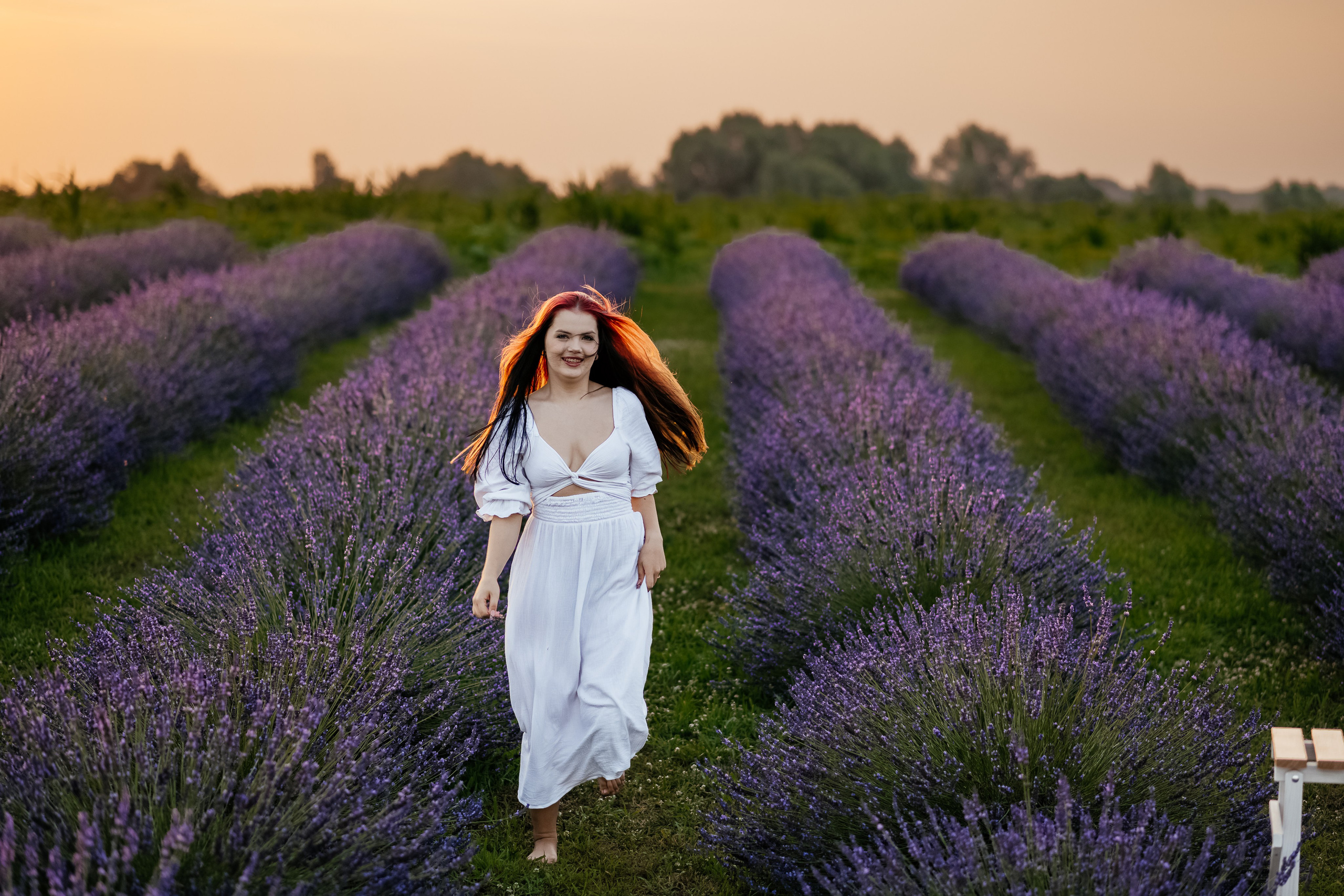 Лаванда 2024. Дитячий та сімейний фотограф м.Бровари