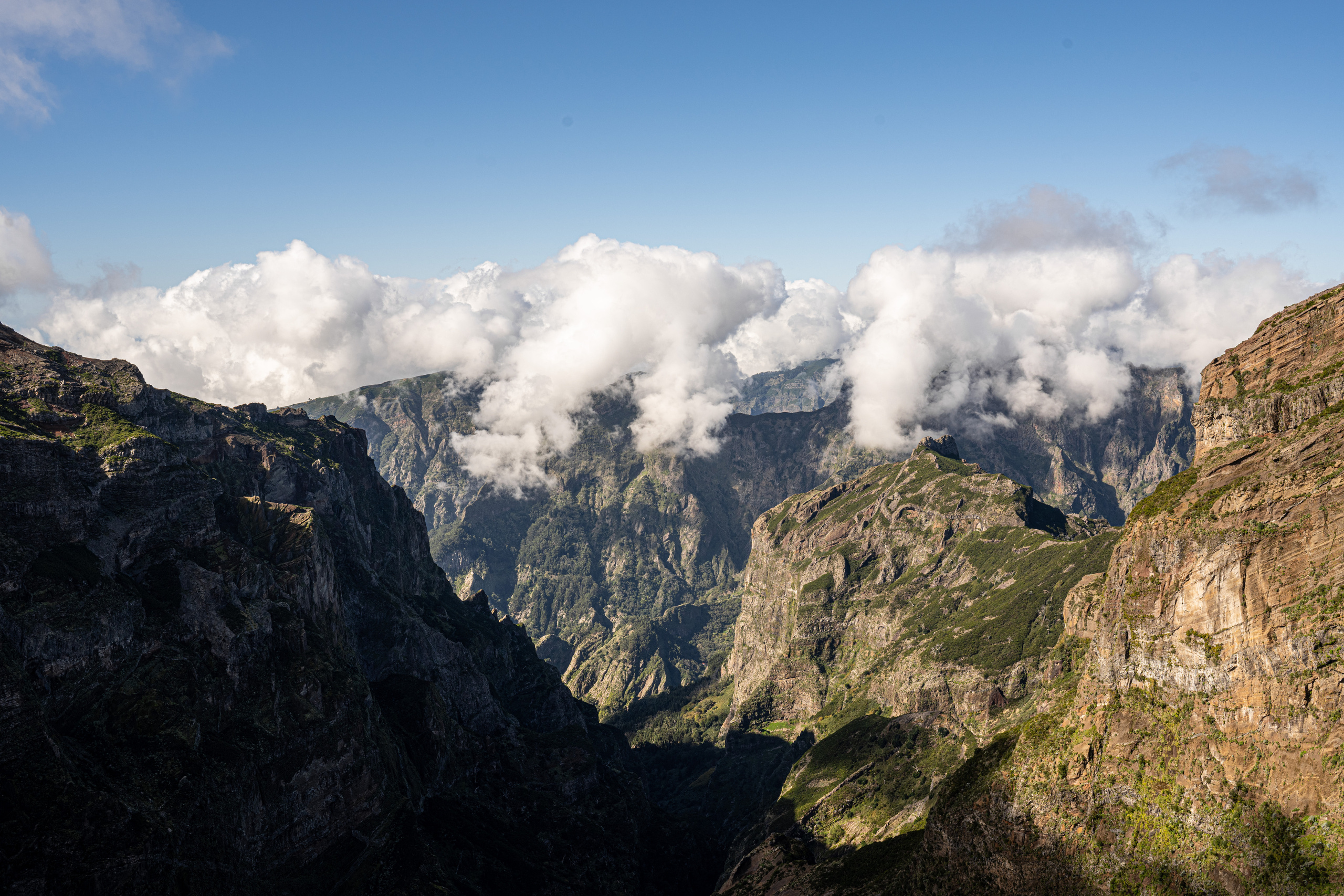Мадейра. Дитячий та сімейний фотограф м.Бровари