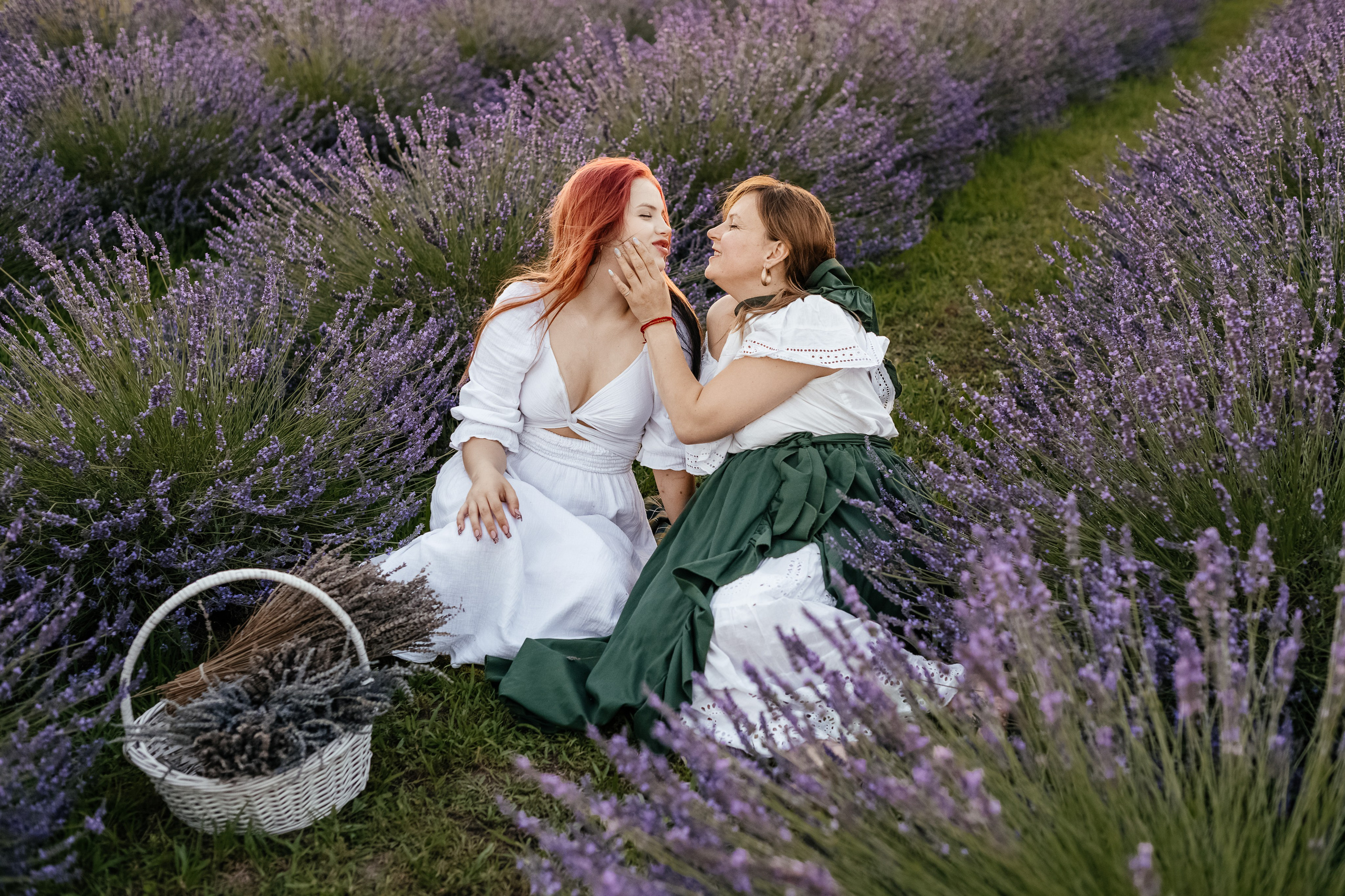 Лаванда 2024. Дитячий та сімейний фотограф м.Бровари